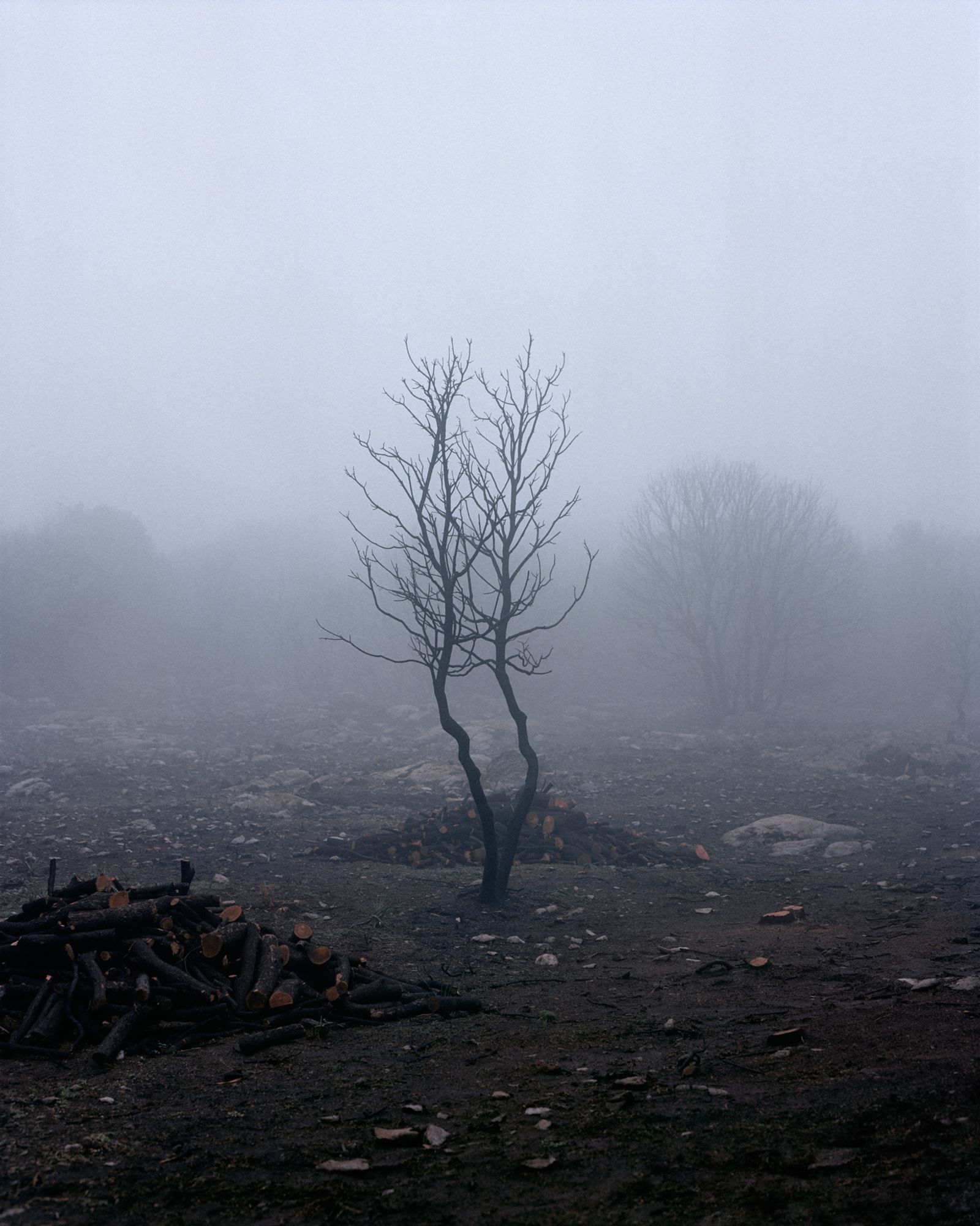 © Massimiliano Corteselli - Image from the Contrapasso photography project