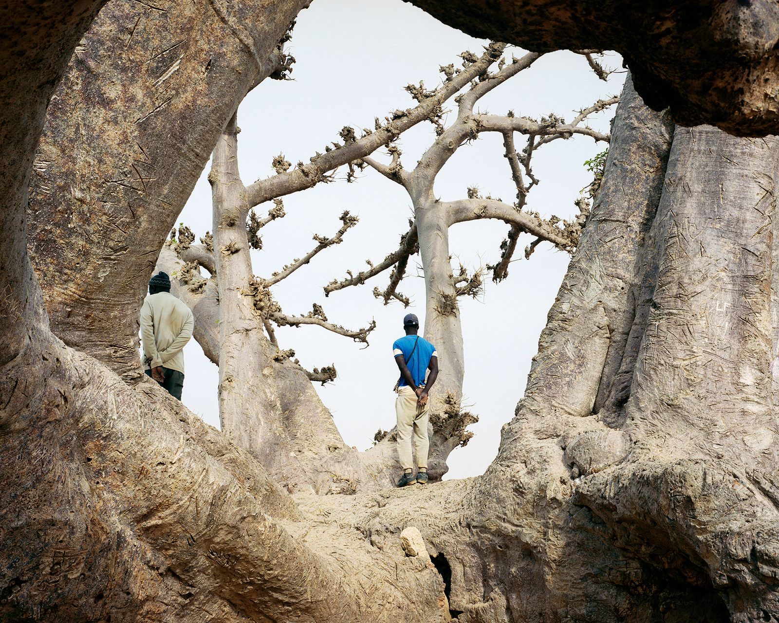 © Jasmine Clarke - Image from the Shadow of the Palm photography project