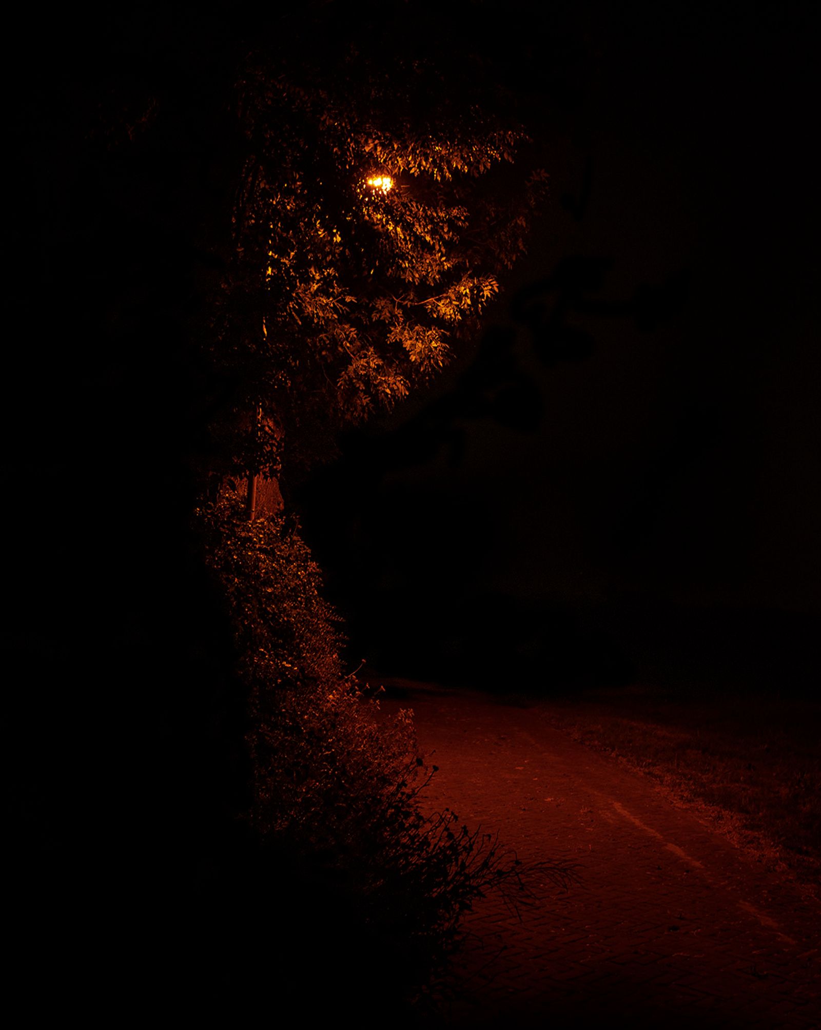 © Rob Severein - 8. The absolute silence and darkness at night on Het Bildt.