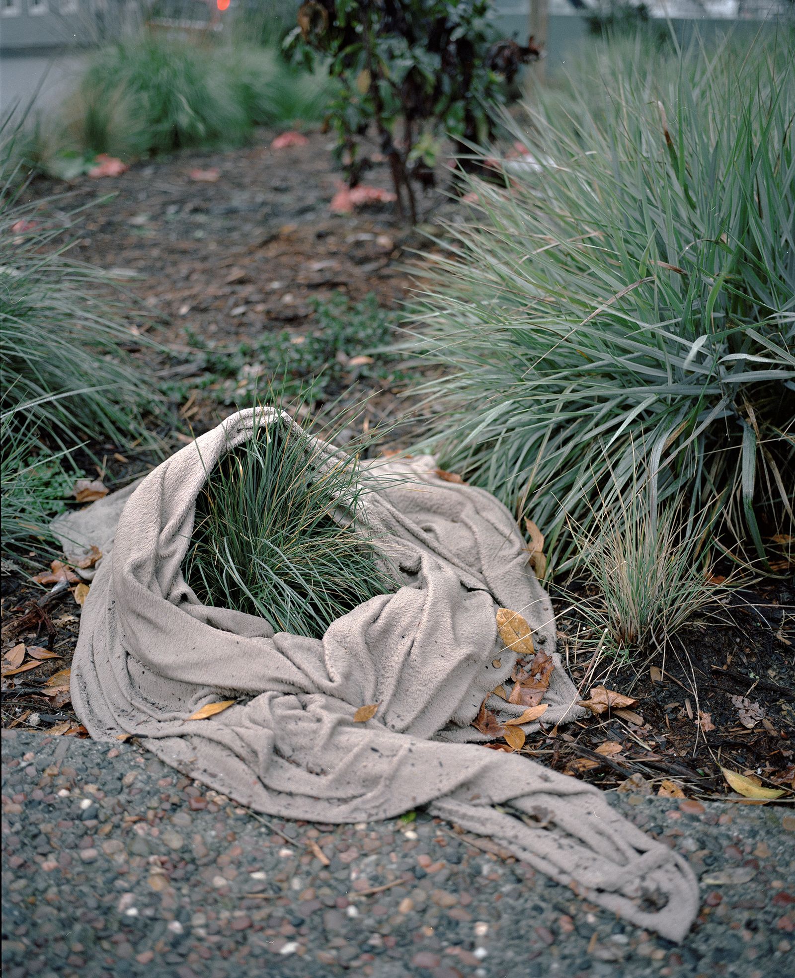 © Justin Maxon - An abandoned blanket is seen on the street in downtown Eureka.