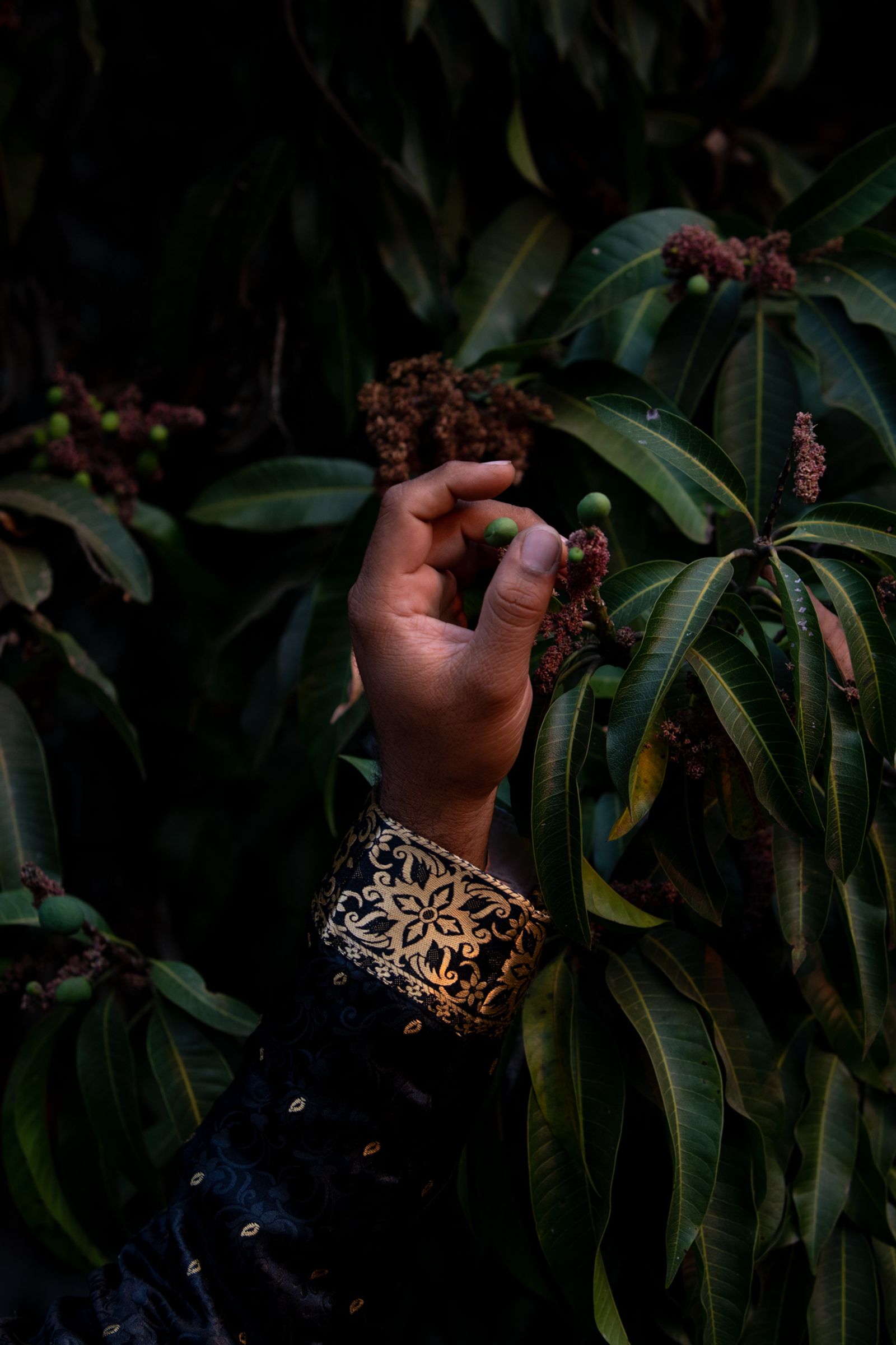 © Davina Jogi - Image from the The Landscape Does Not Sit Willingly photography project