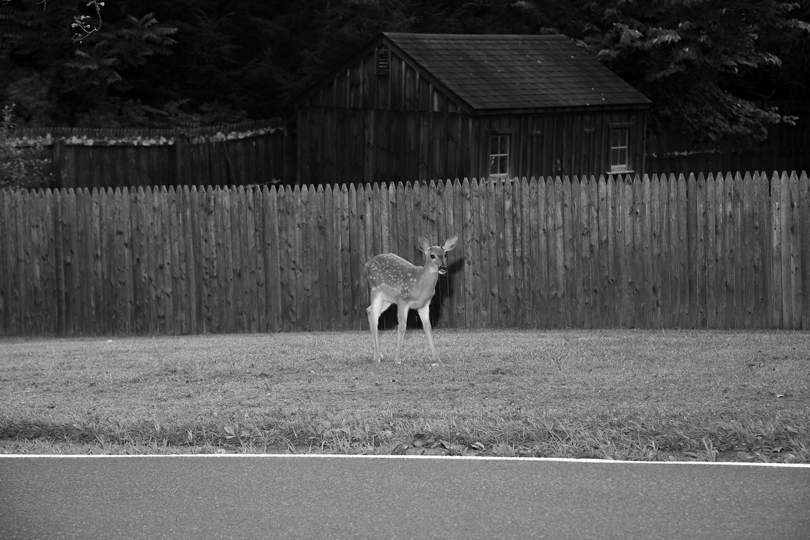 © Patricia Voulgaris - Image from the When The Sun Hits photography project