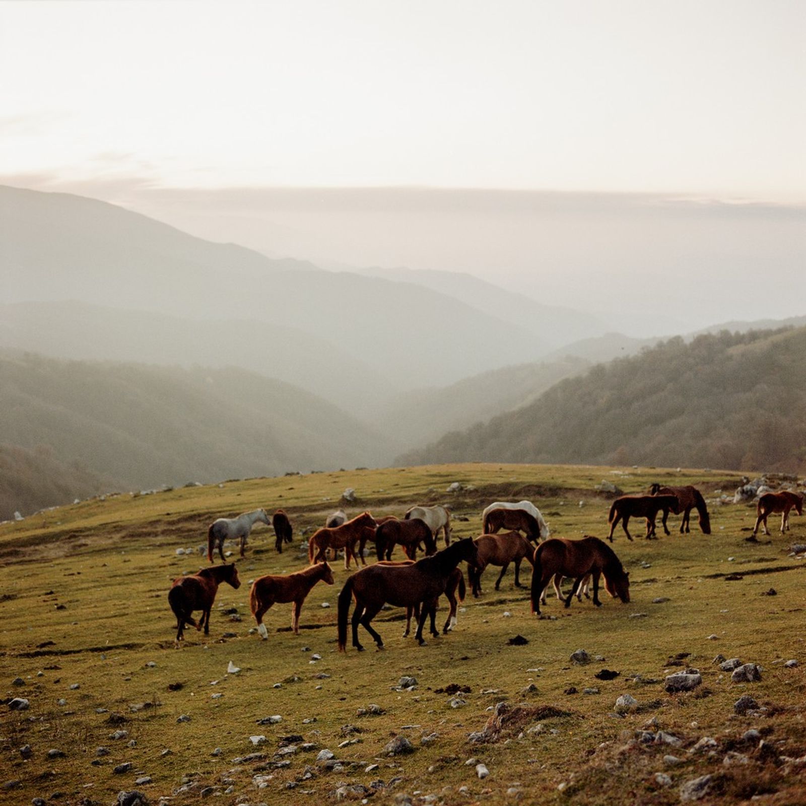 © Svetlana Bulatova - Image from the Nothing to fear photography project