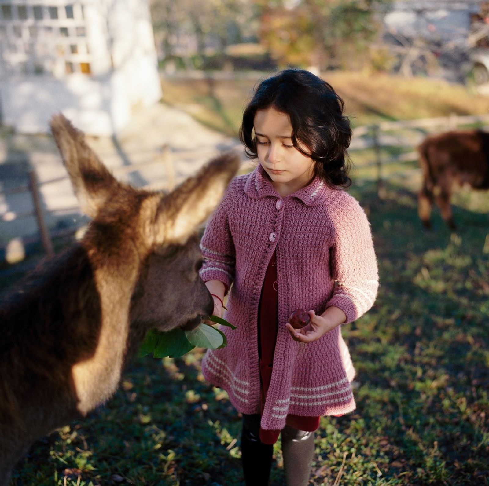 © Svetlana Bulatova - Image from the Nothing to fear photography project