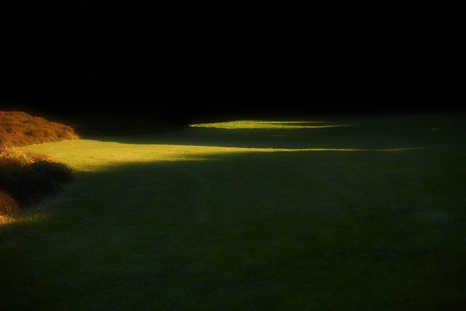 © Stephanie O'Connor - Image from the All stars stand close in summer air photography project
