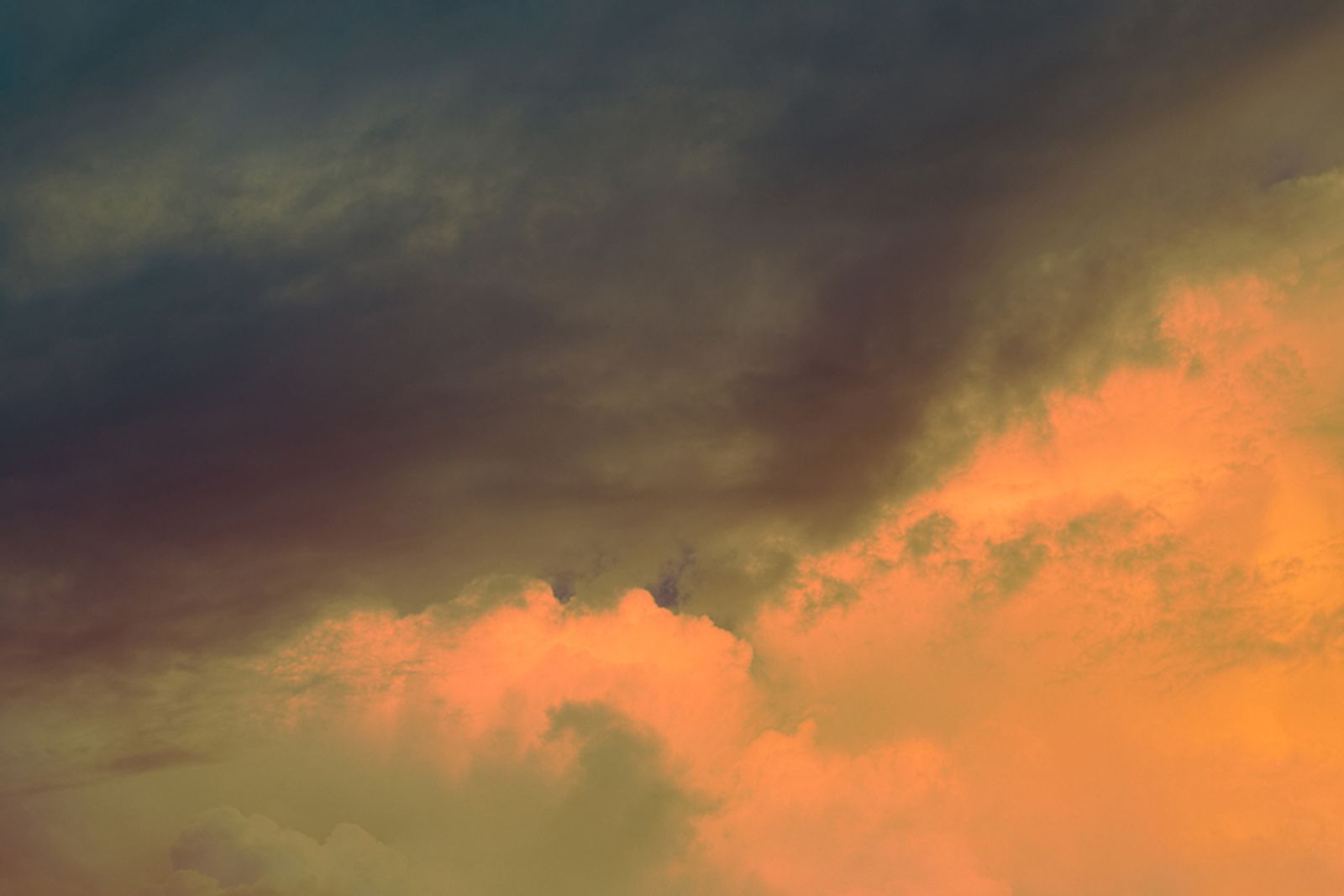 © Stephanie O'Connor - Image from the All stars stand close in summer air photography project