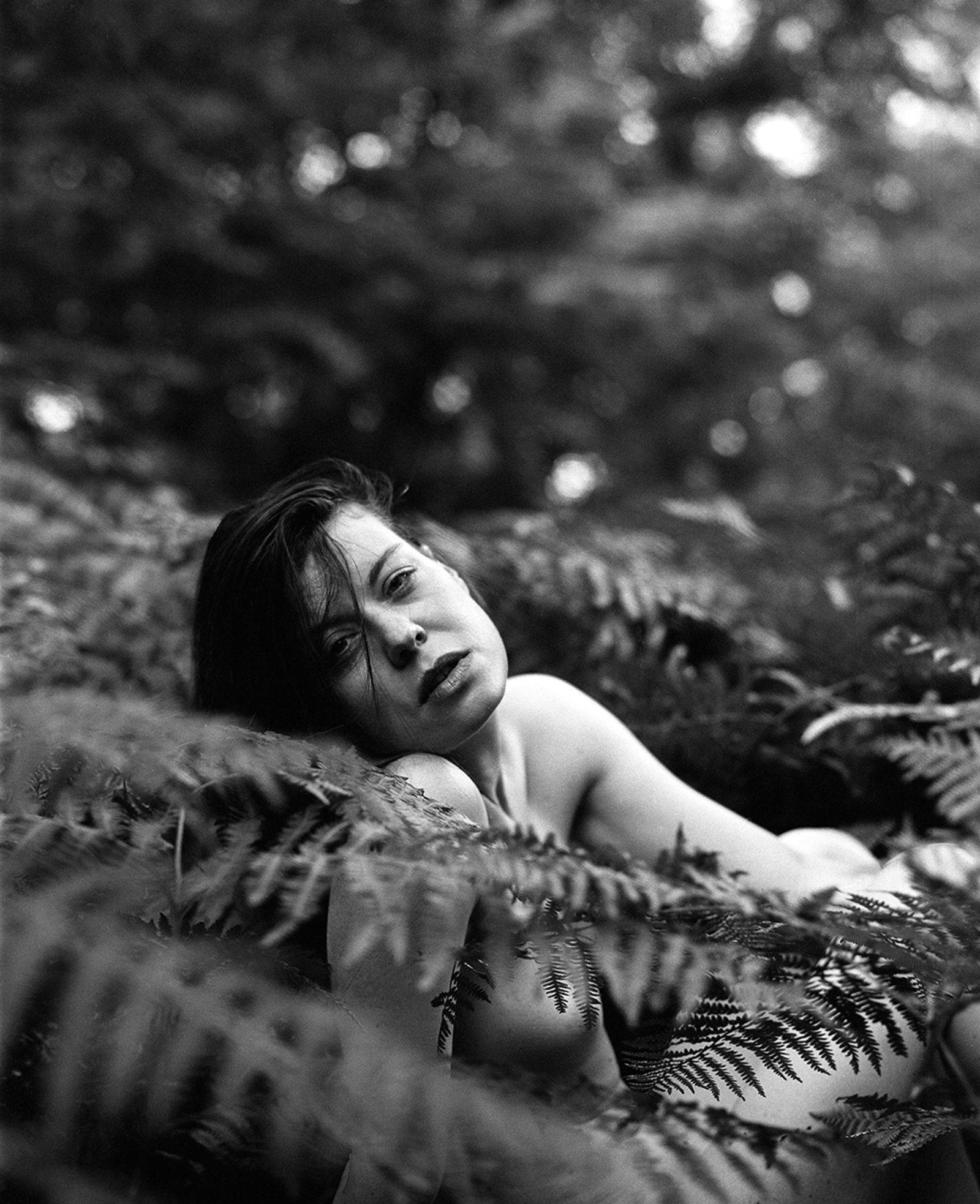 © Selina Mayer - Image from the The Forest photography project