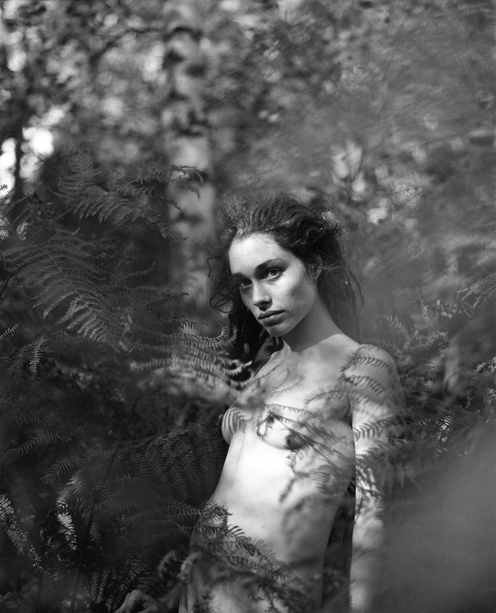 © Selina Mayer - Image from the The Forest photography project