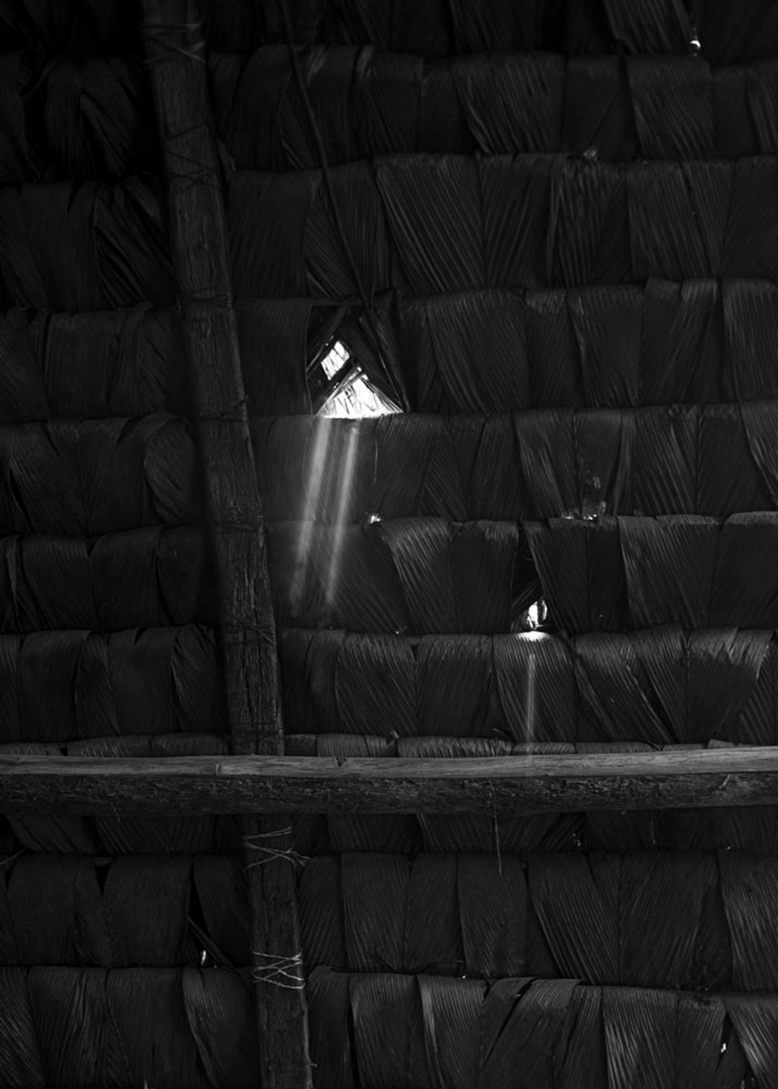© Daniela Beltran B. - Rays of sunlight shining through a traditional Waorani house.
