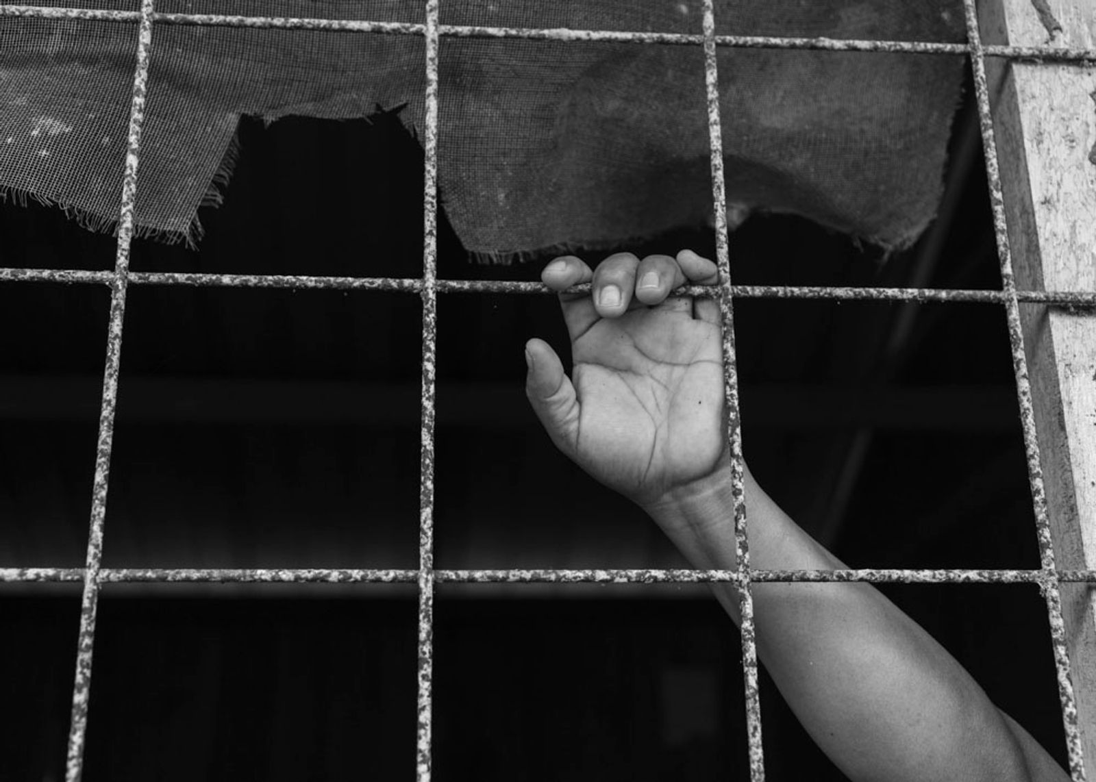 © Daniela Beltran B. - A kid's hand grabbing a fence.