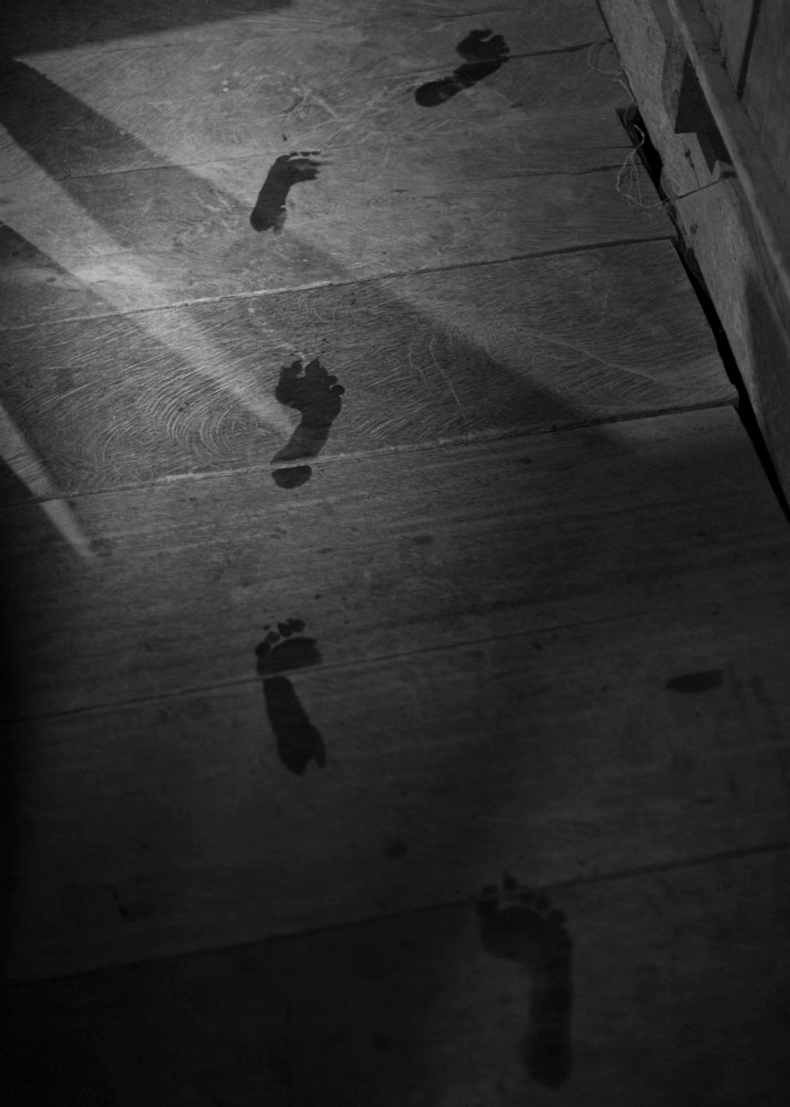 © Daniela Beltran B. - Water footprints on wooden floor.