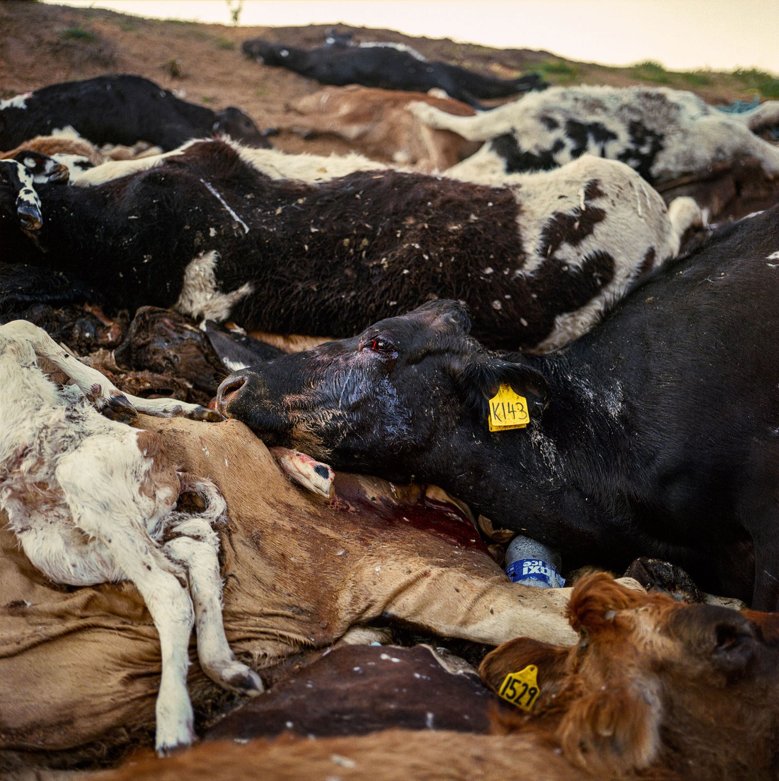 © Karoliina Kase - Image from the To All the Bobbies Out There photography project