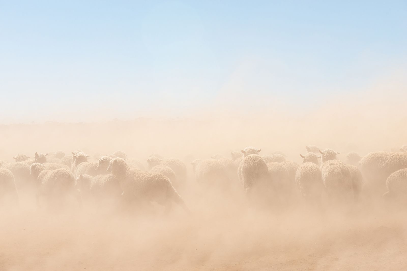 © Karoliina Kase - Image from the The Ravens Tell You Where the Dead Are photography project