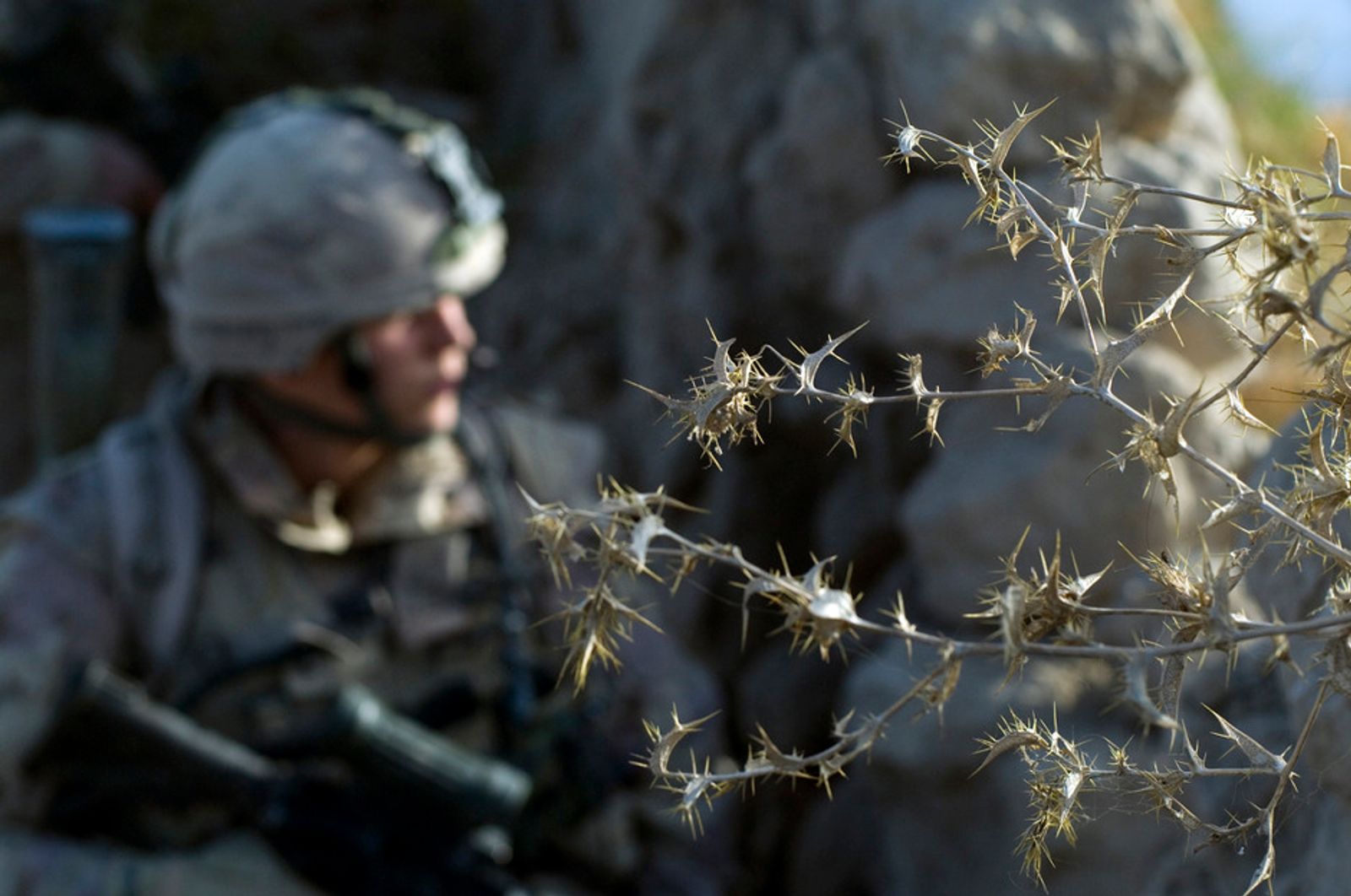 The Fighting Season PhMuseum