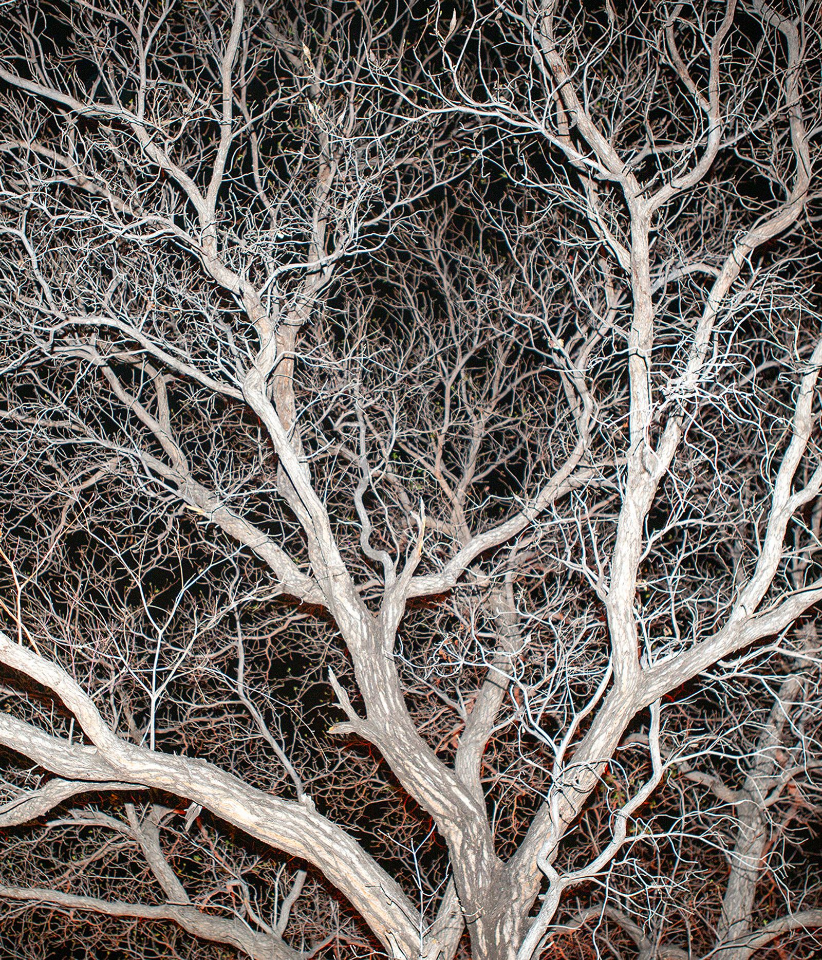 © Jono Terry - Image from the They Still Owe Him A Boat photography project