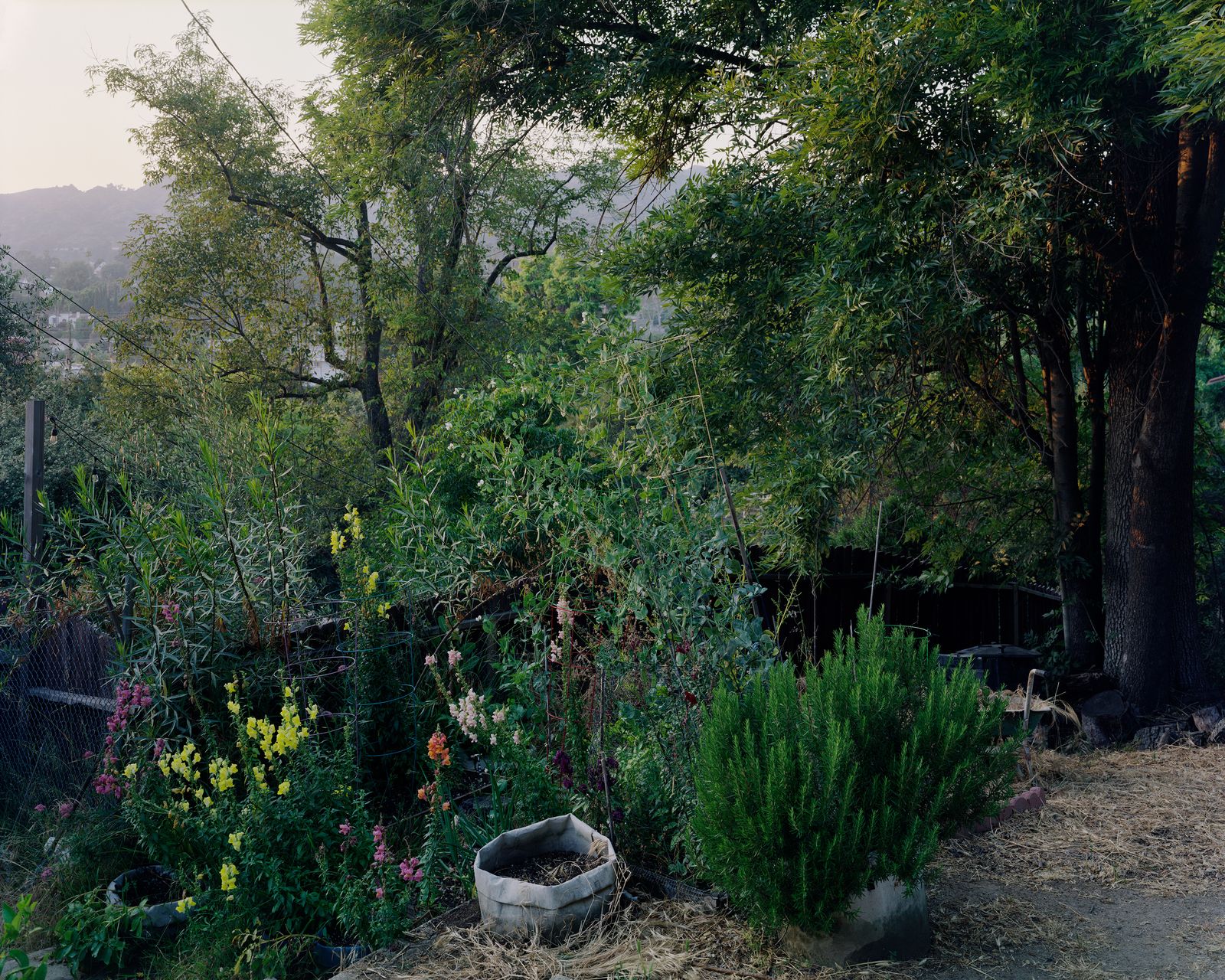 © Paloma Dooley - Image from the On Hills photography project