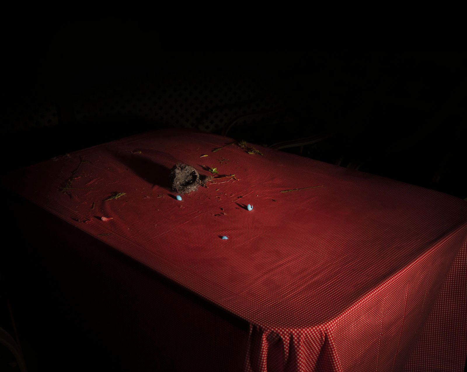 © Michelle Peters - Image from the Prick, Saccharine, Shatter photography project