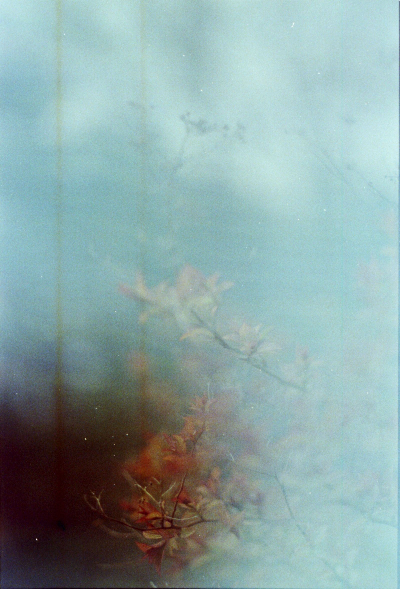 © Emma Parla-Aziz - Image from the Tiny Universes photography project