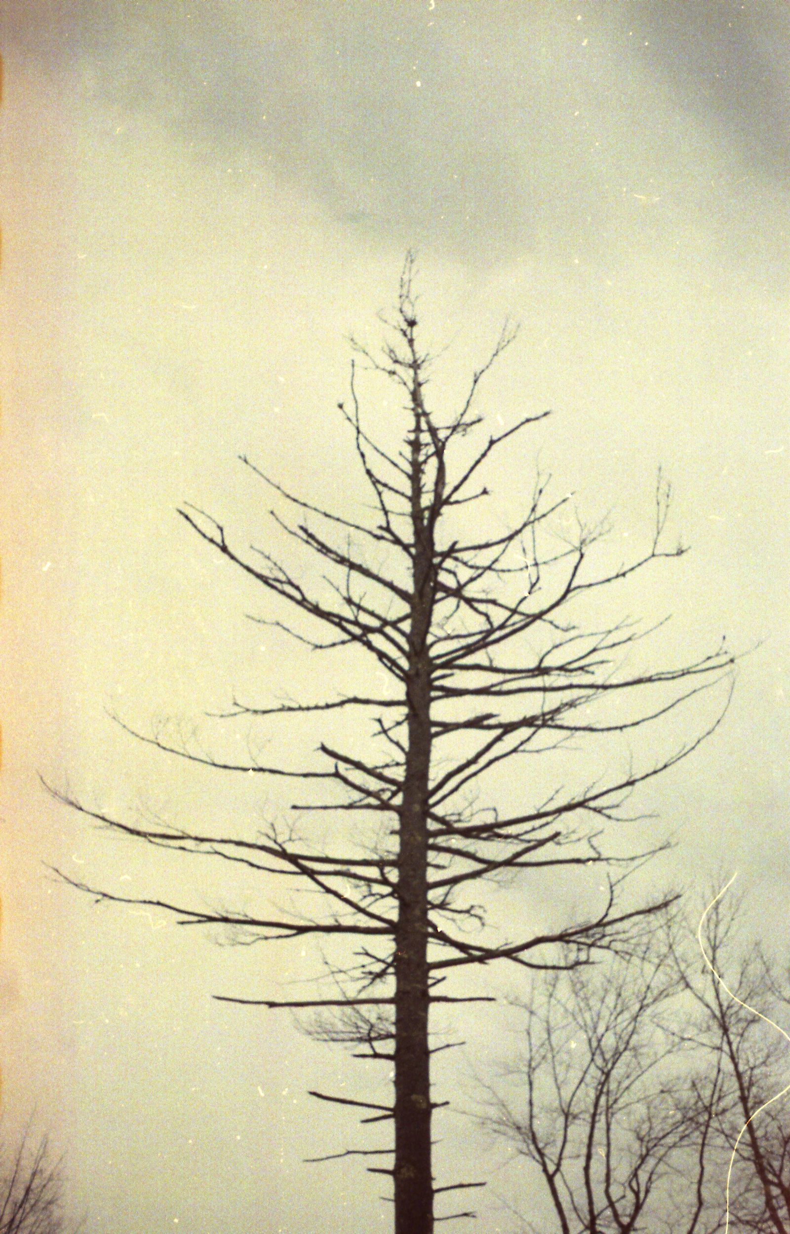 © Emma Parla-Aziz - Image from the Tiny Universes photography project