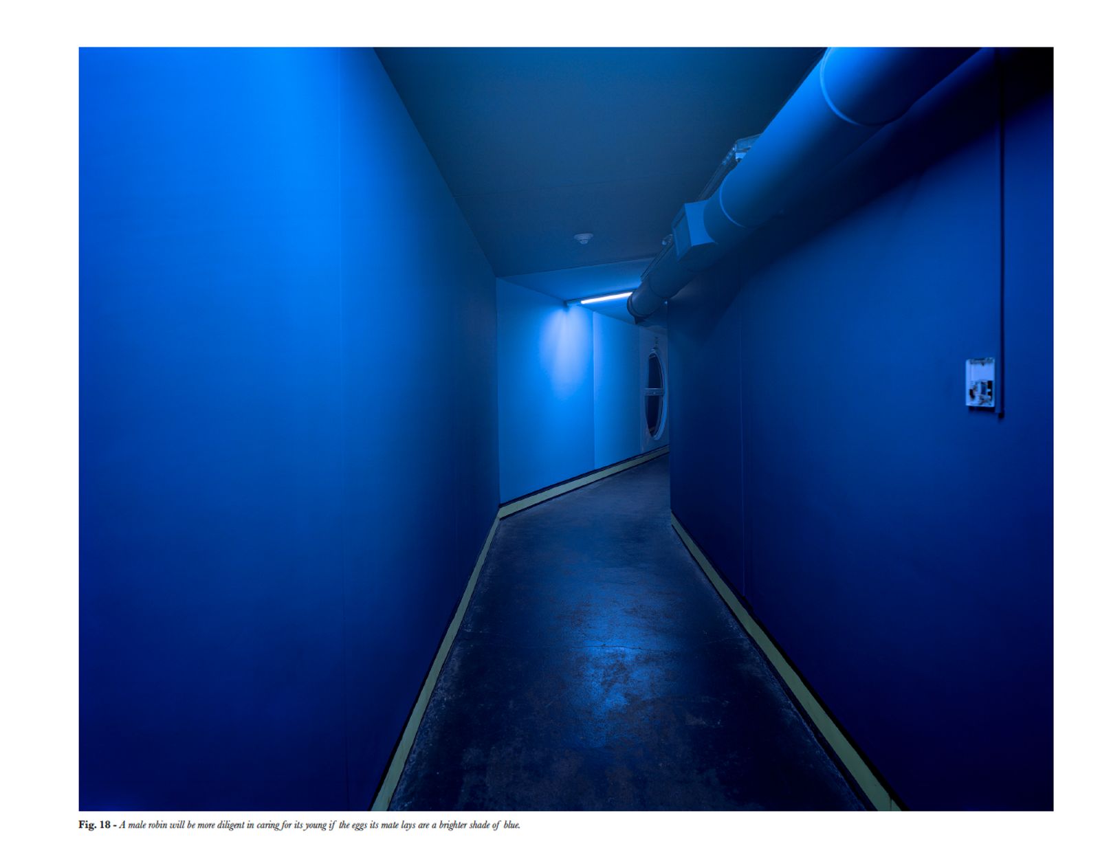 © Mark Kasumovic - Image from the A Human Laboratory photography project