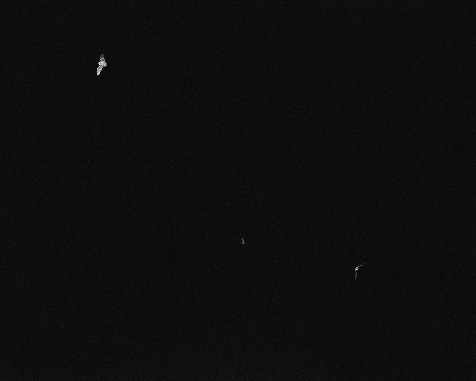 © Dylan and Paul Hausthor and Guilmoth - Image from the Sleep Creek photography project