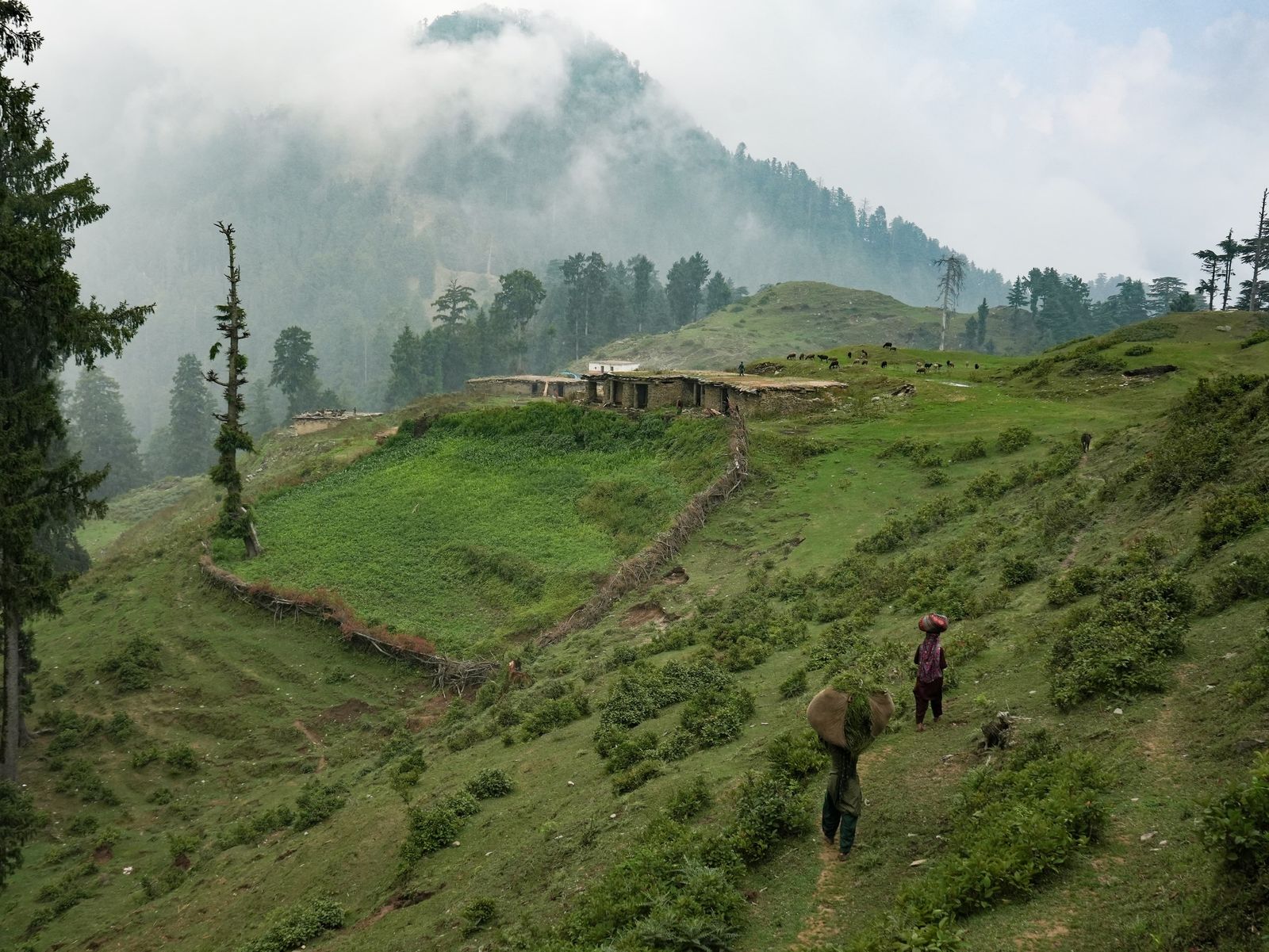 © Sumit Mahar - Image from the Resilience & Resistance: The Lives and Struggles of Nomadic Gujjar Women photography project