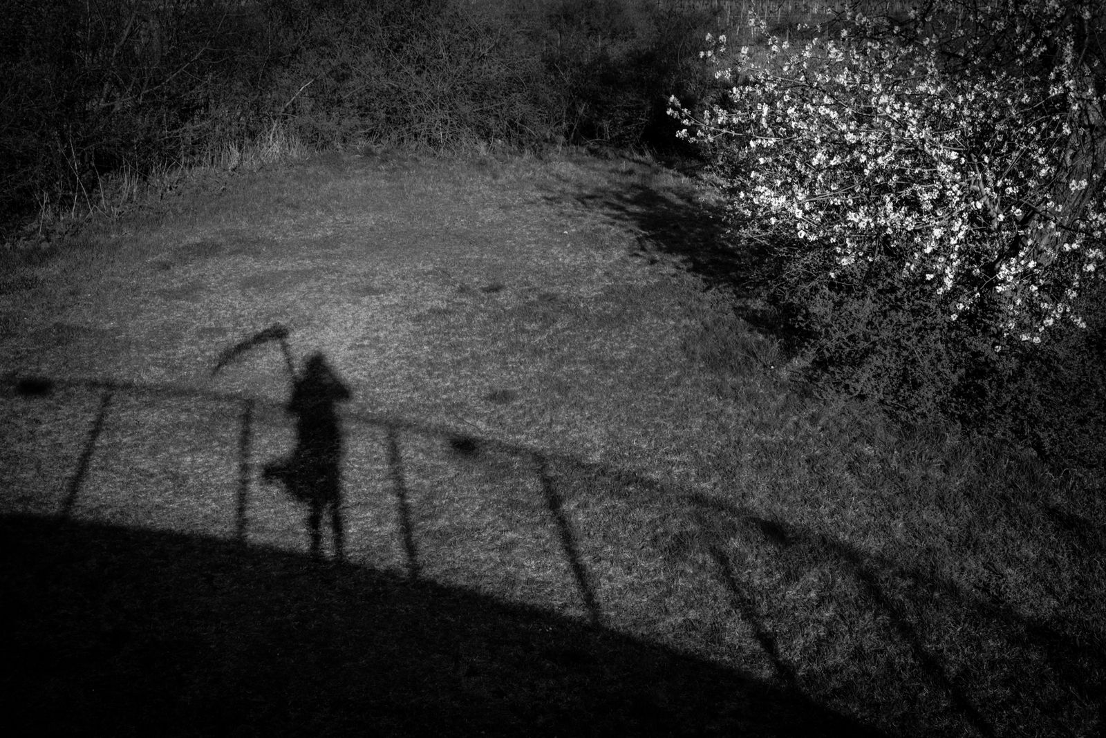 © Marylise Vigneau - Self Portrait with Scythe and Wind