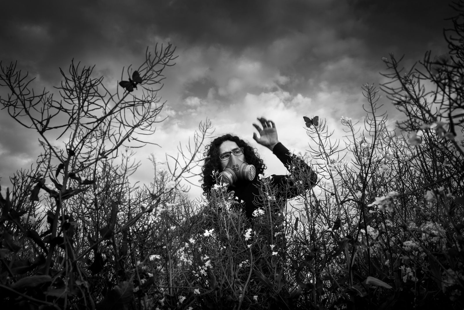 © Marylise Vigneau - Splendor in the Grass