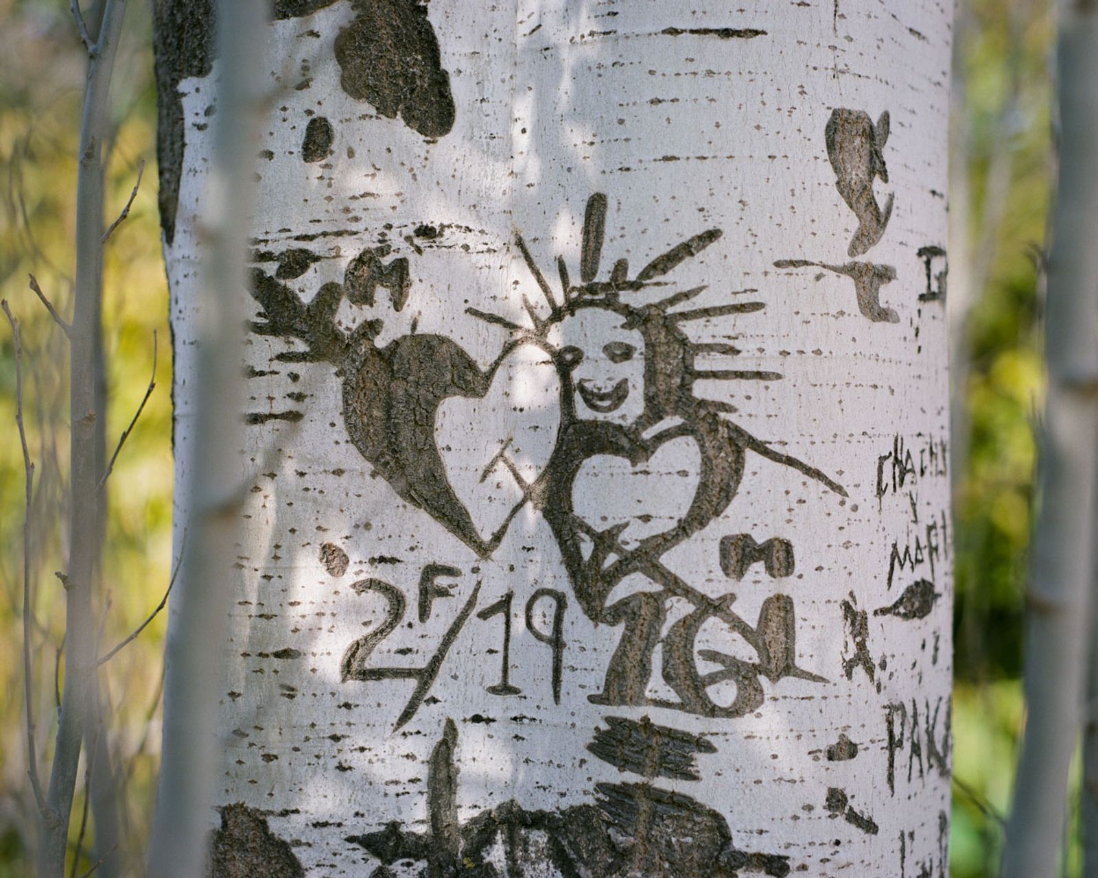 © Juan de la Quintana - The marks on a tree that mark a date, probably an anniversary. February 2, 2019?