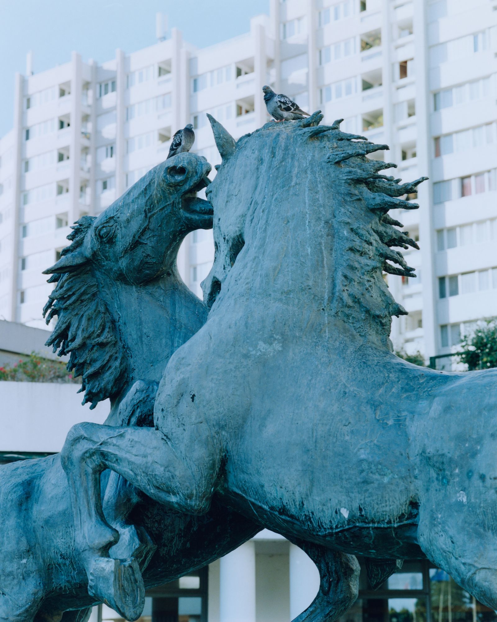 © Alexandre Silberman - The living forces // Epinay-sur-Seine // November 2019