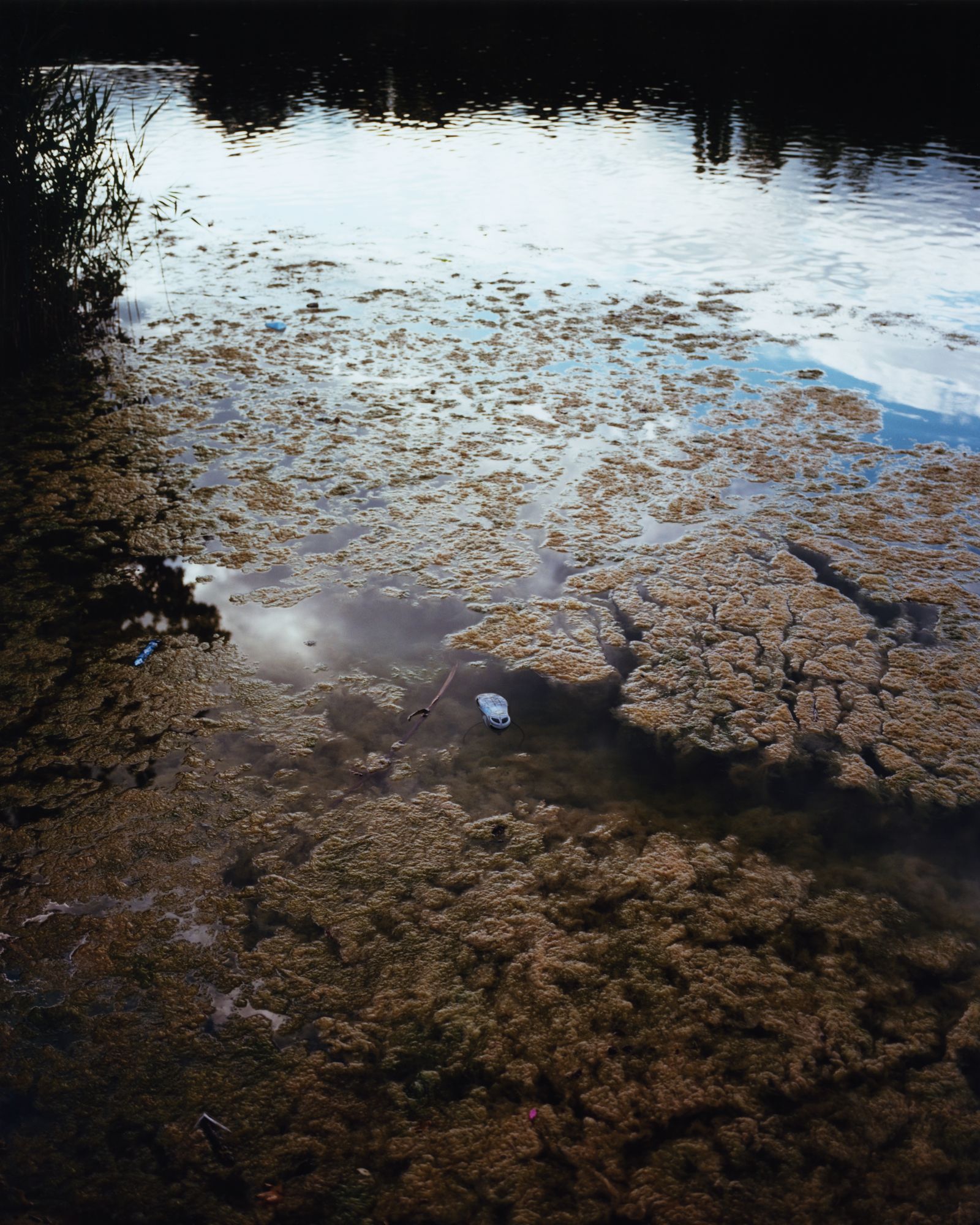 © Alexandre Silberman - Sneaker in the lake // Georges-Valbon Park - La Courneuve // August 2019