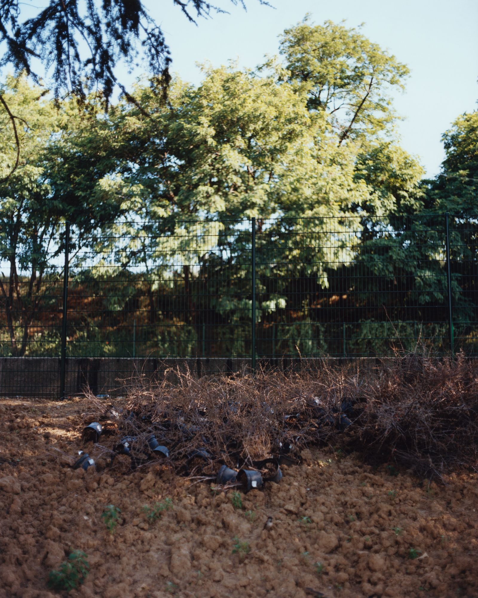 © Alexandre Silberman - Former crack hill, in the process of revegetation // Road interchange of Porte de la Chapelle // June 2020