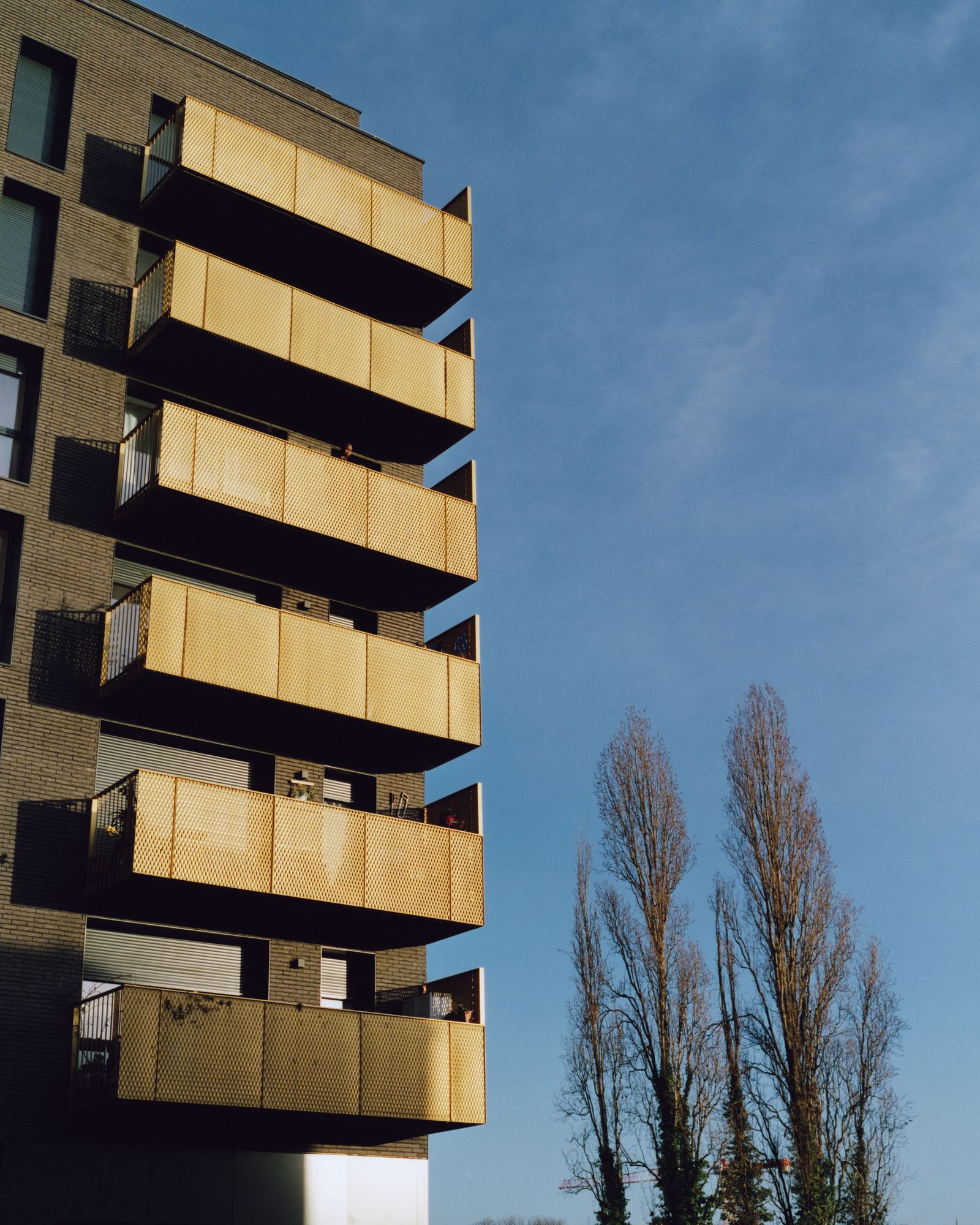 © Alexandre Silberman - Woman on the golden balcony // Bagnolet // December 2019