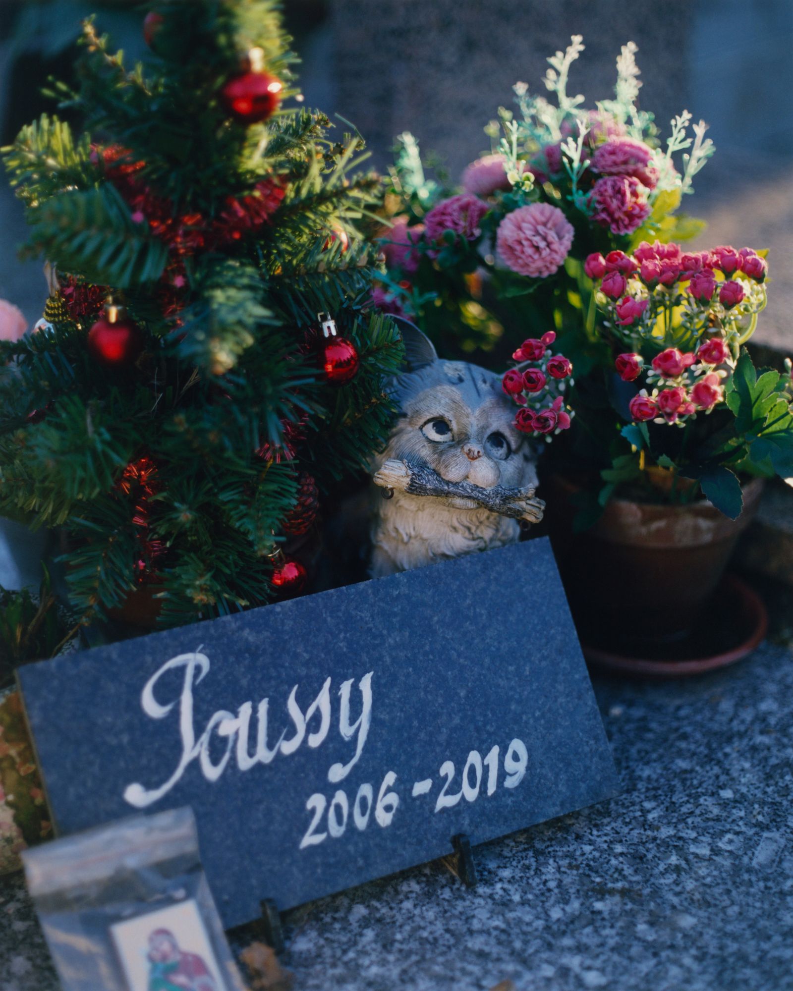 © Alexandre Silberman - Grave of Poussy (Pussy)