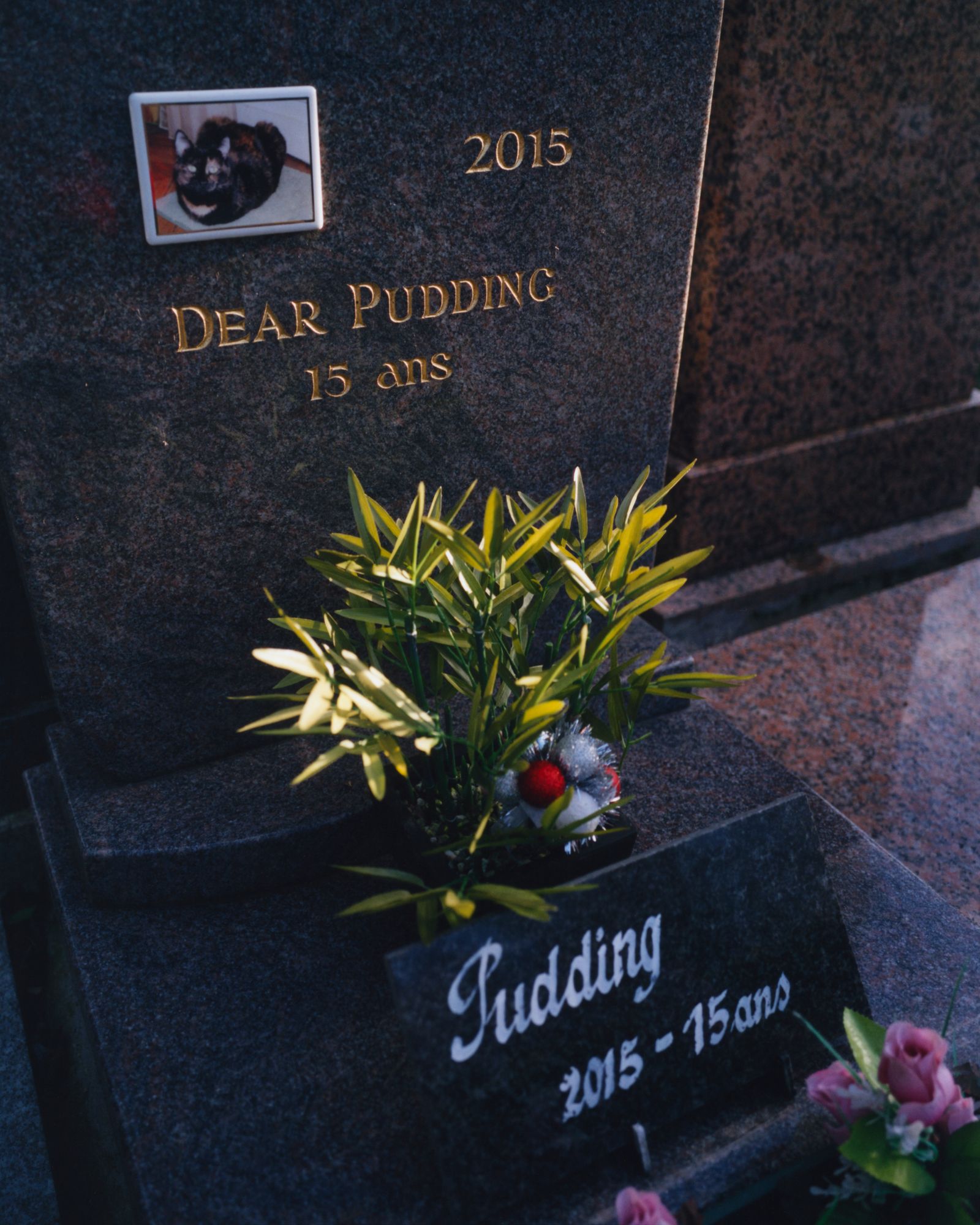 © Alexandre Silberman - Grave of Pudding