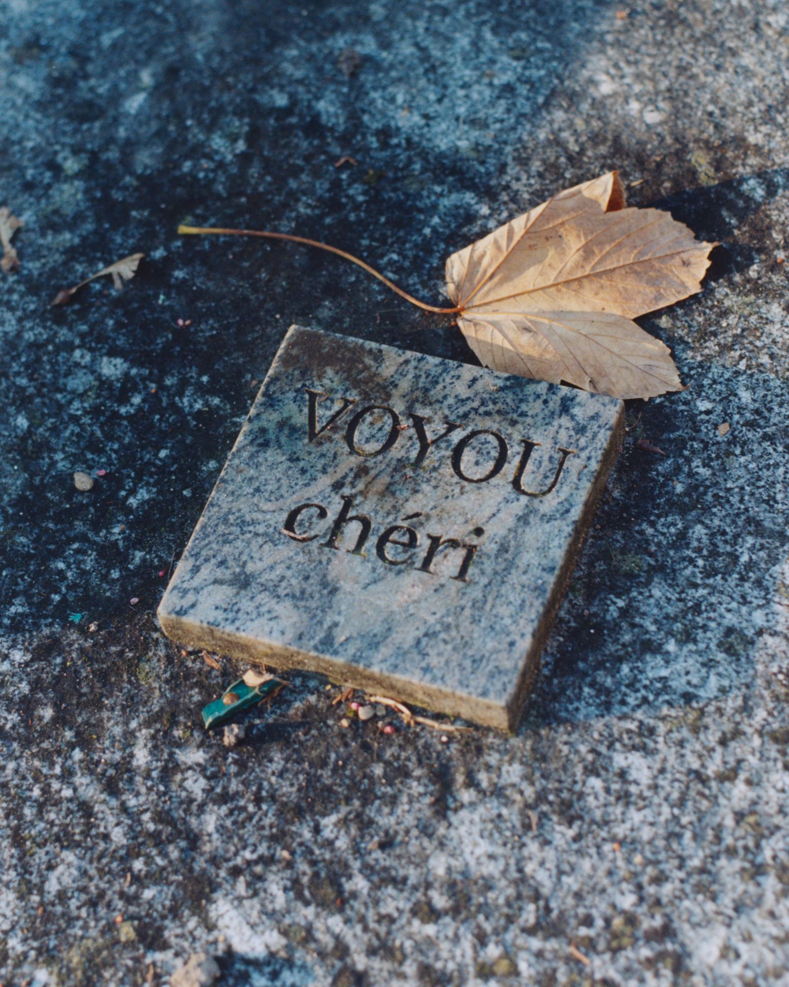 © Alexandre Silberman - Grave of Voyou (Thug)