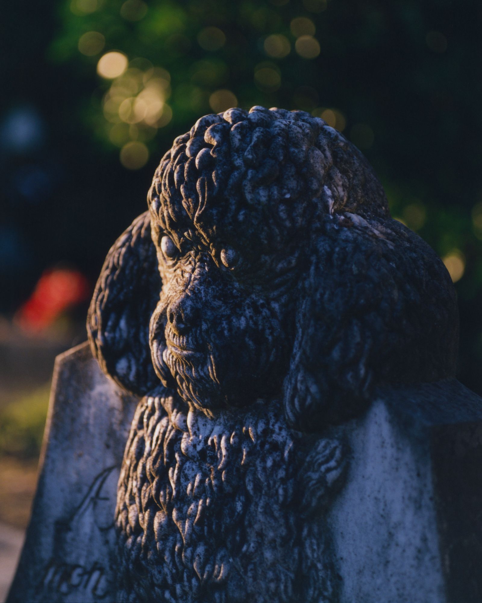 © Alexandre Silberman - Canine scupture on grave