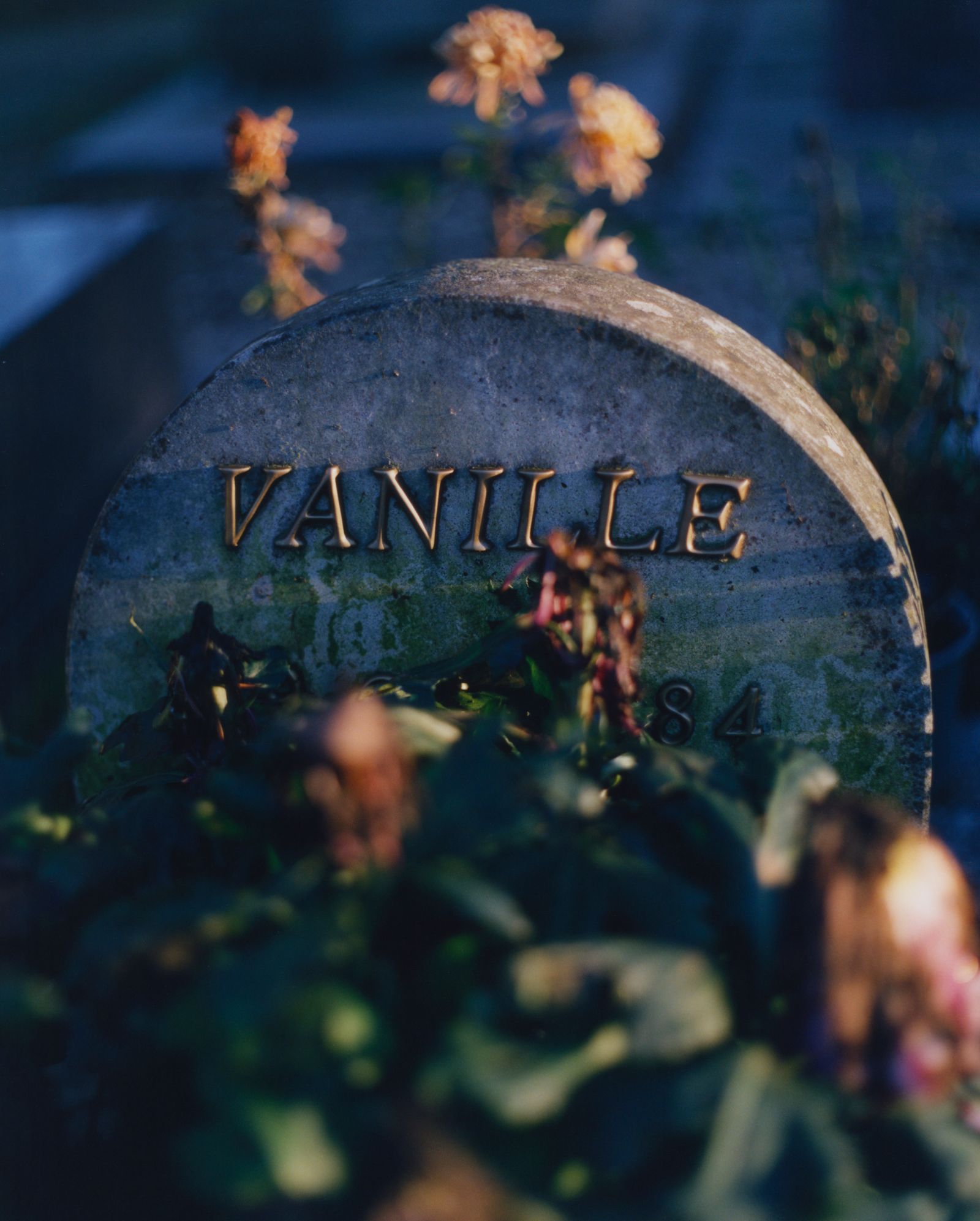 © Alexandre Silberman - Grave of Vanilla