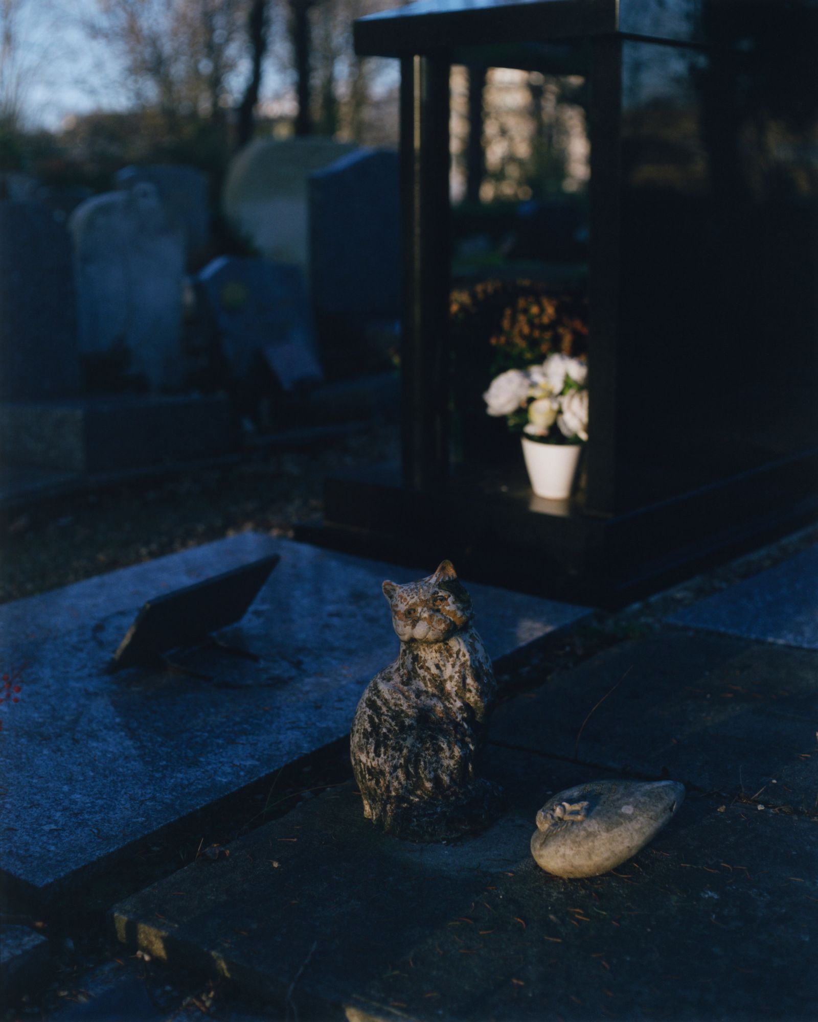 © Alexandre Silberman - Feline sculpture on a grave