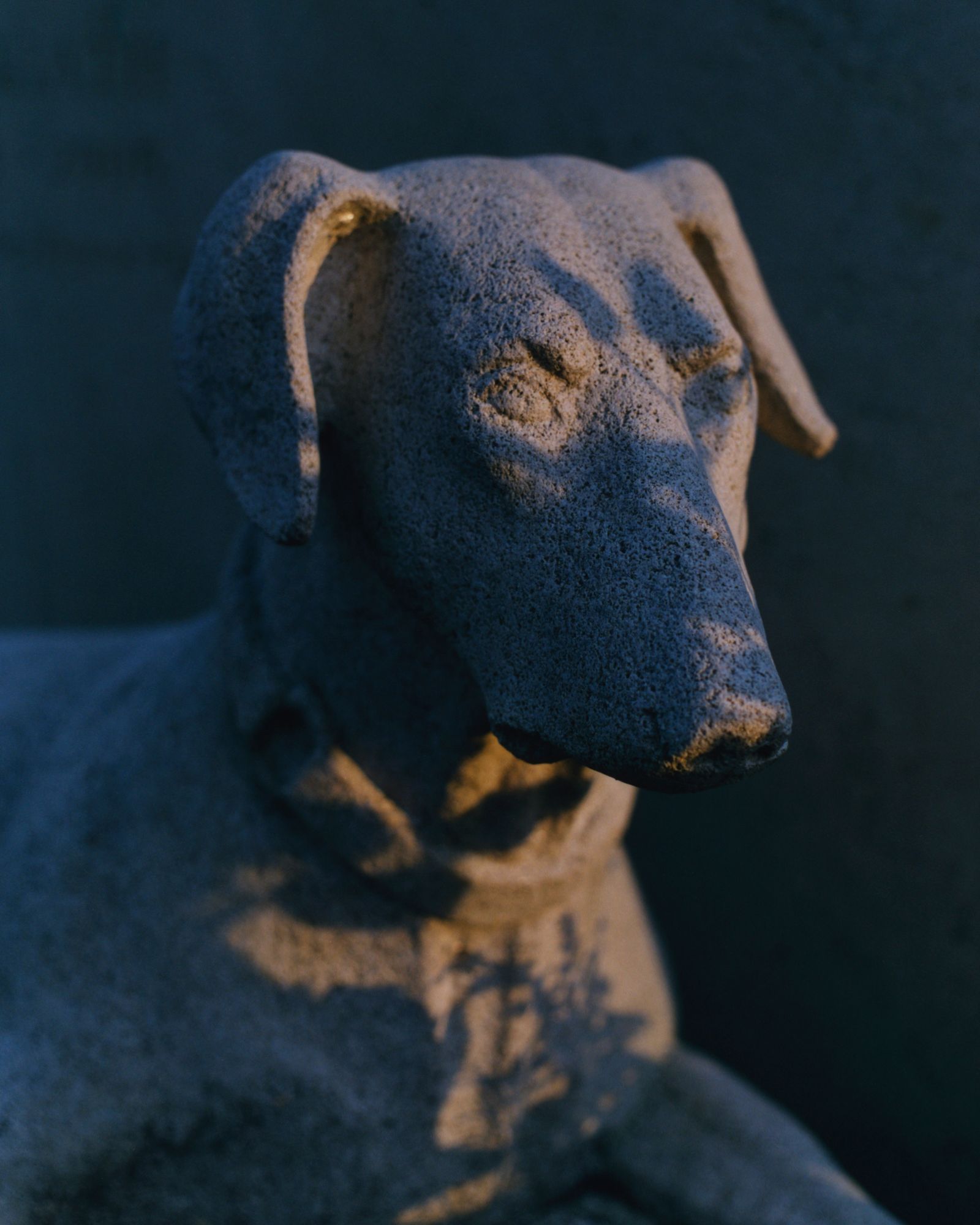 © Alexandre Silberman - Canine sculpture on a grave