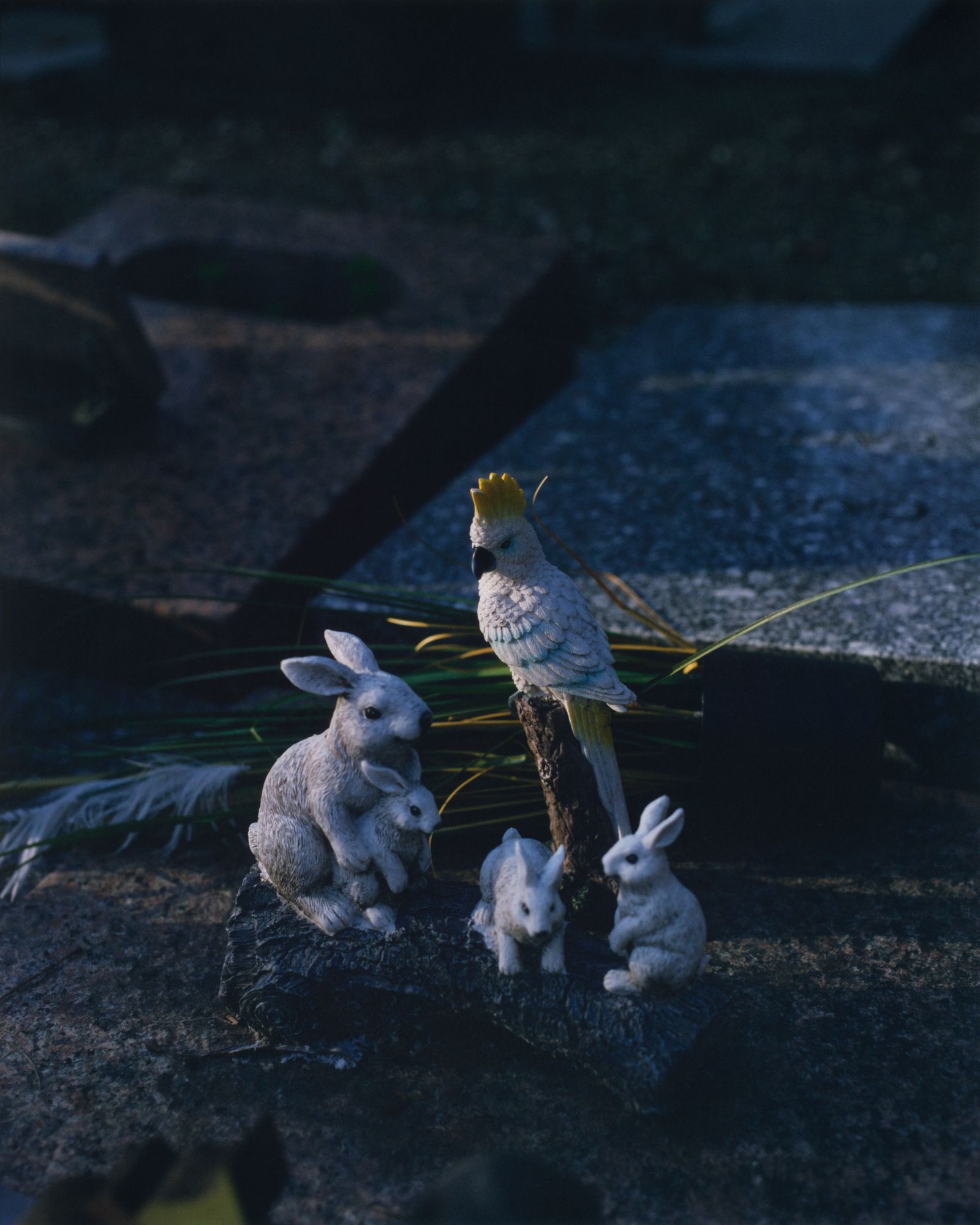 © Alexandre Silberman - Animal scene on a grave