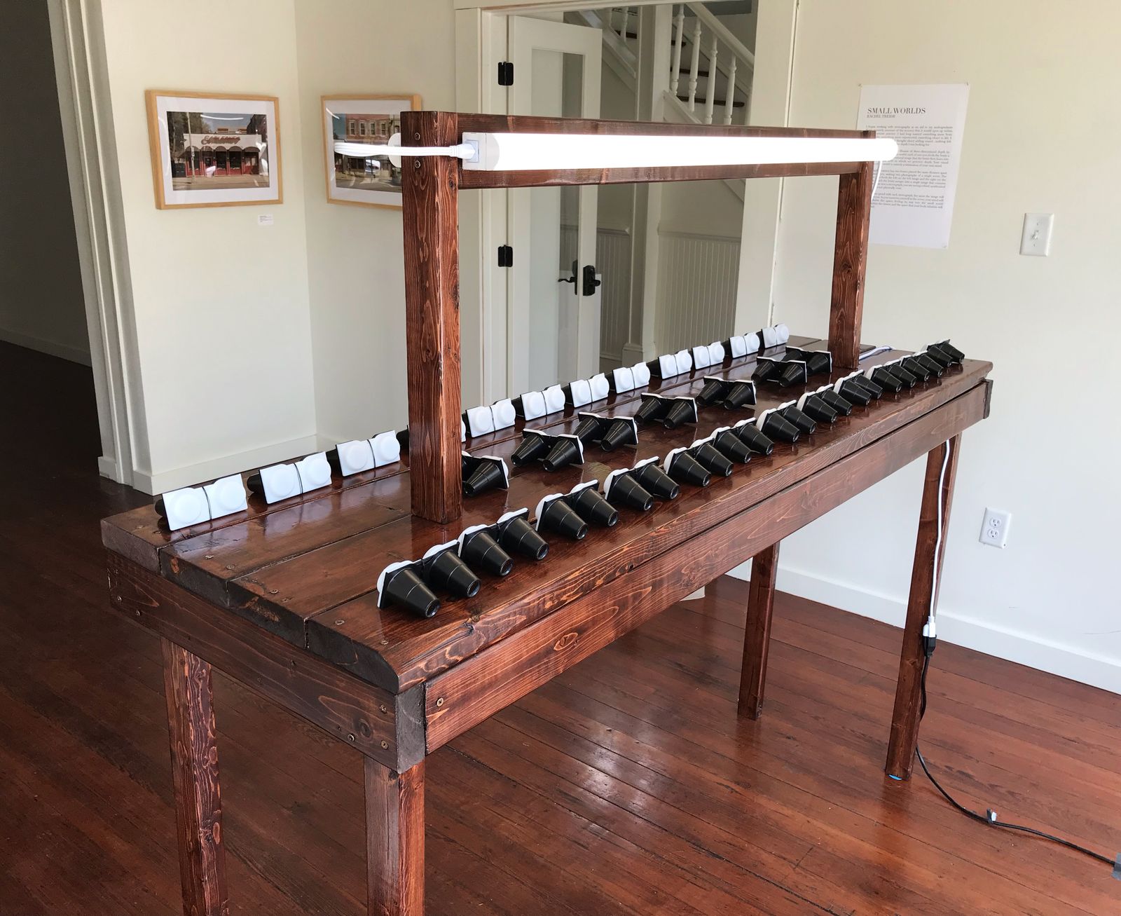 © RACHEL TREIDE - Installation view of Treide's 31 stereographs exhibited on custom light table at "LOOK: Life Seen Through a Feminine Lens"