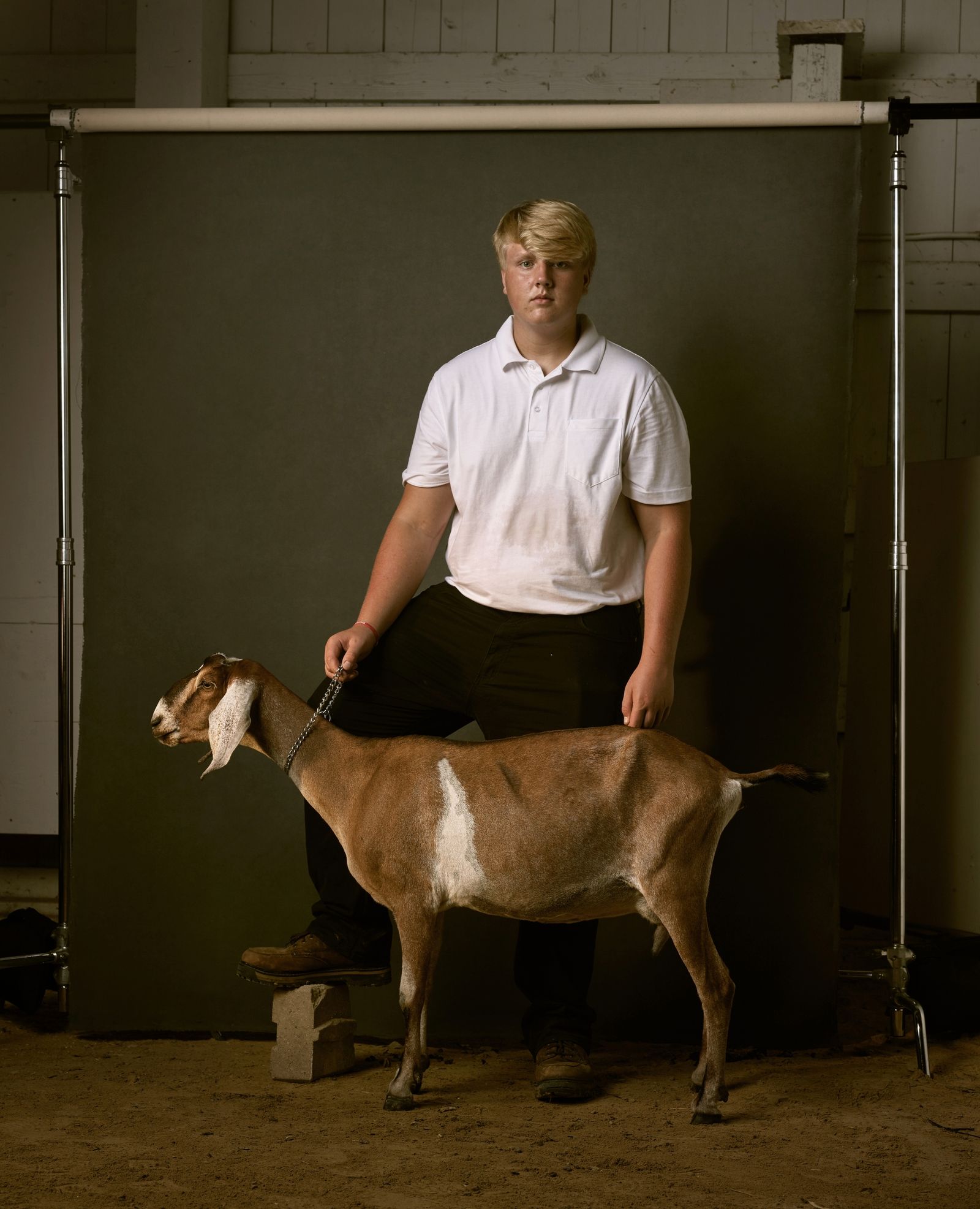 © R. J. Kern - Louis and Dumb, Freeborn County Fair, Minnesota, 2016.