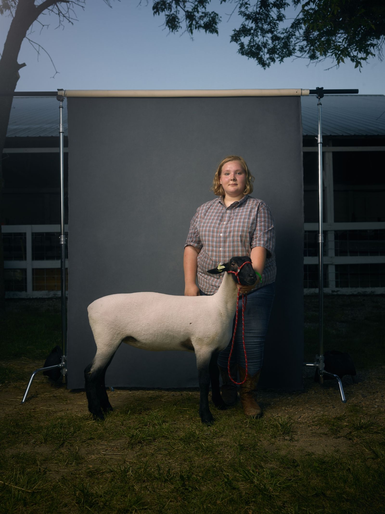 © R. J. Kern - Katherine and Cagney, West Otter Tail County Fair, Minnesota, 2016.