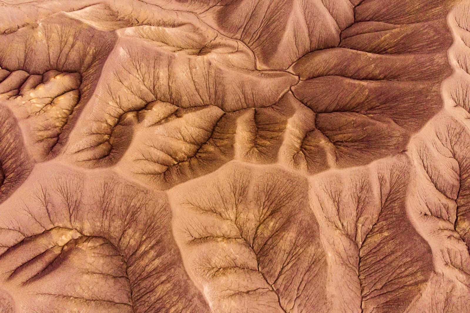 © Matjaz Tancic - The Mars like landscape surrounding the Mars Desert Research Station in Hanksville, Utah.