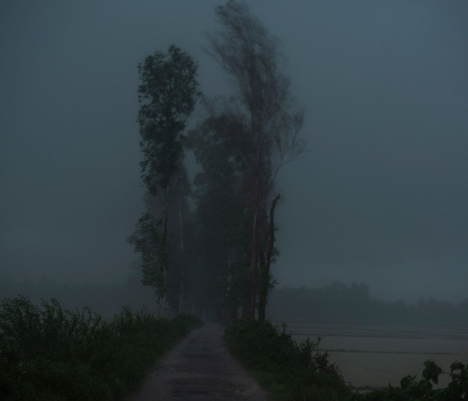 © Ashfika Rahman, from the series Files of the Disappeared