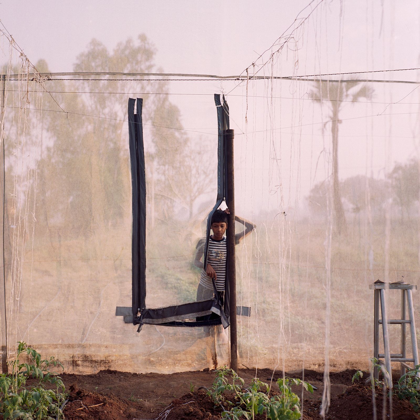 The Alternative Greenhouses Revolutionising Indian Agriculture