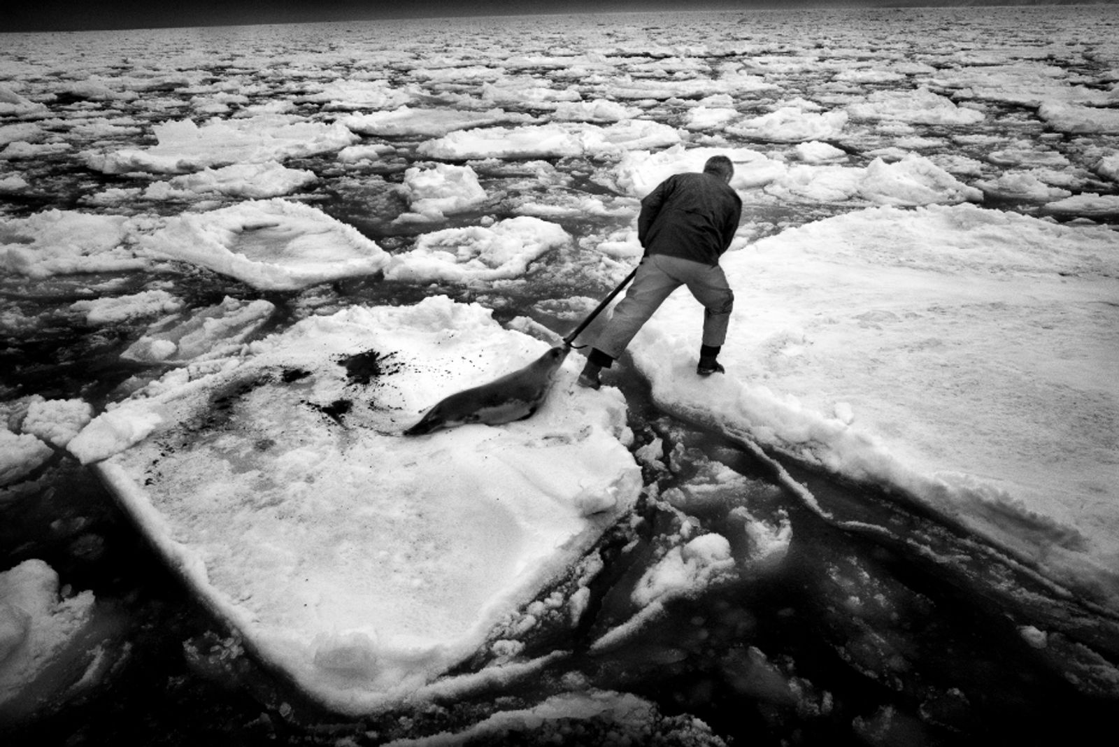 © Yoanis Menge, from the series, Hakapik