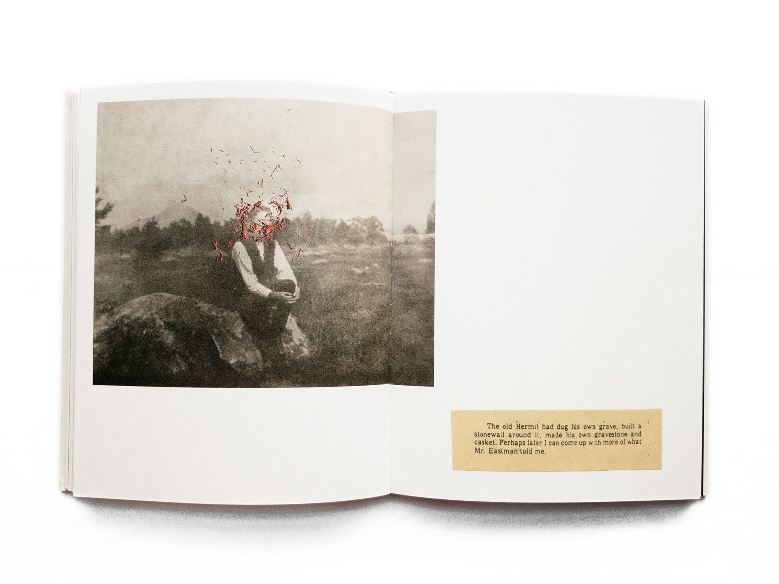 © Amani Willett, spread from the book, The Disappearance of Joseph Plummer