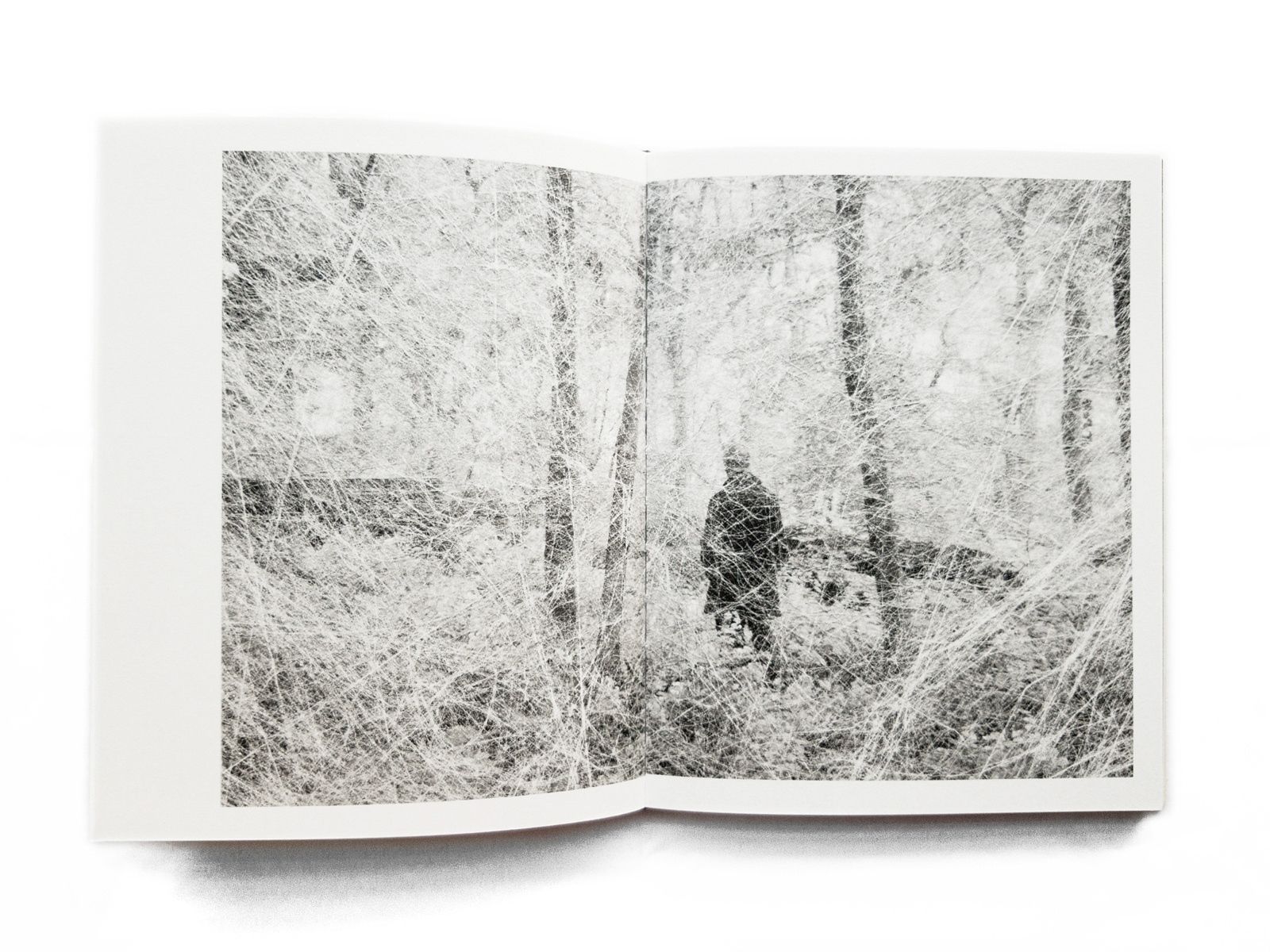 © Amani Willett, spread from the book, The Disappearance of Joseph Plummer